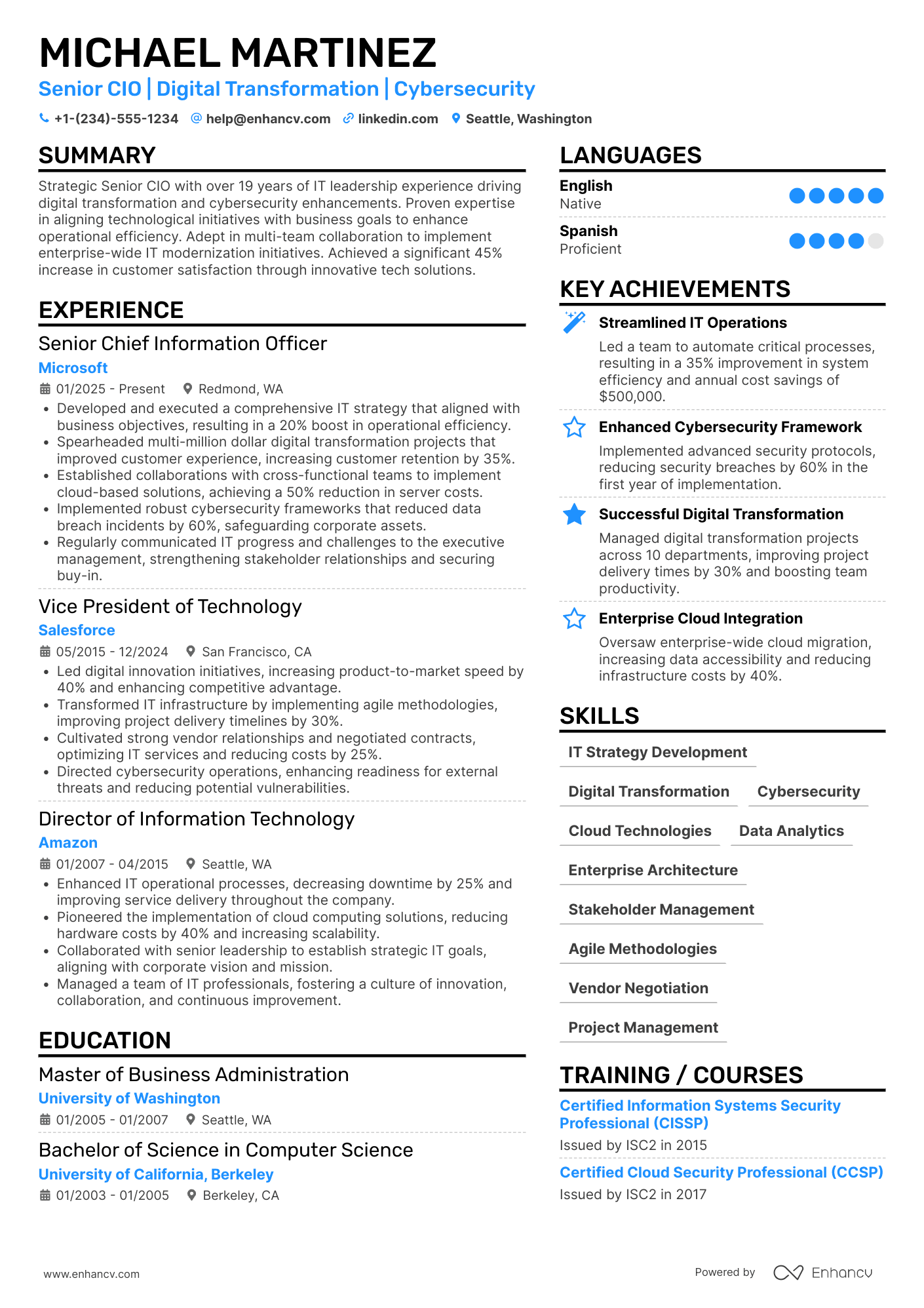 Senior Chief Information Officer Resume Example
