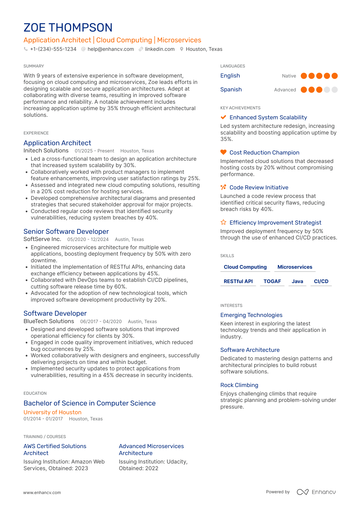 Application Architect Resume Example