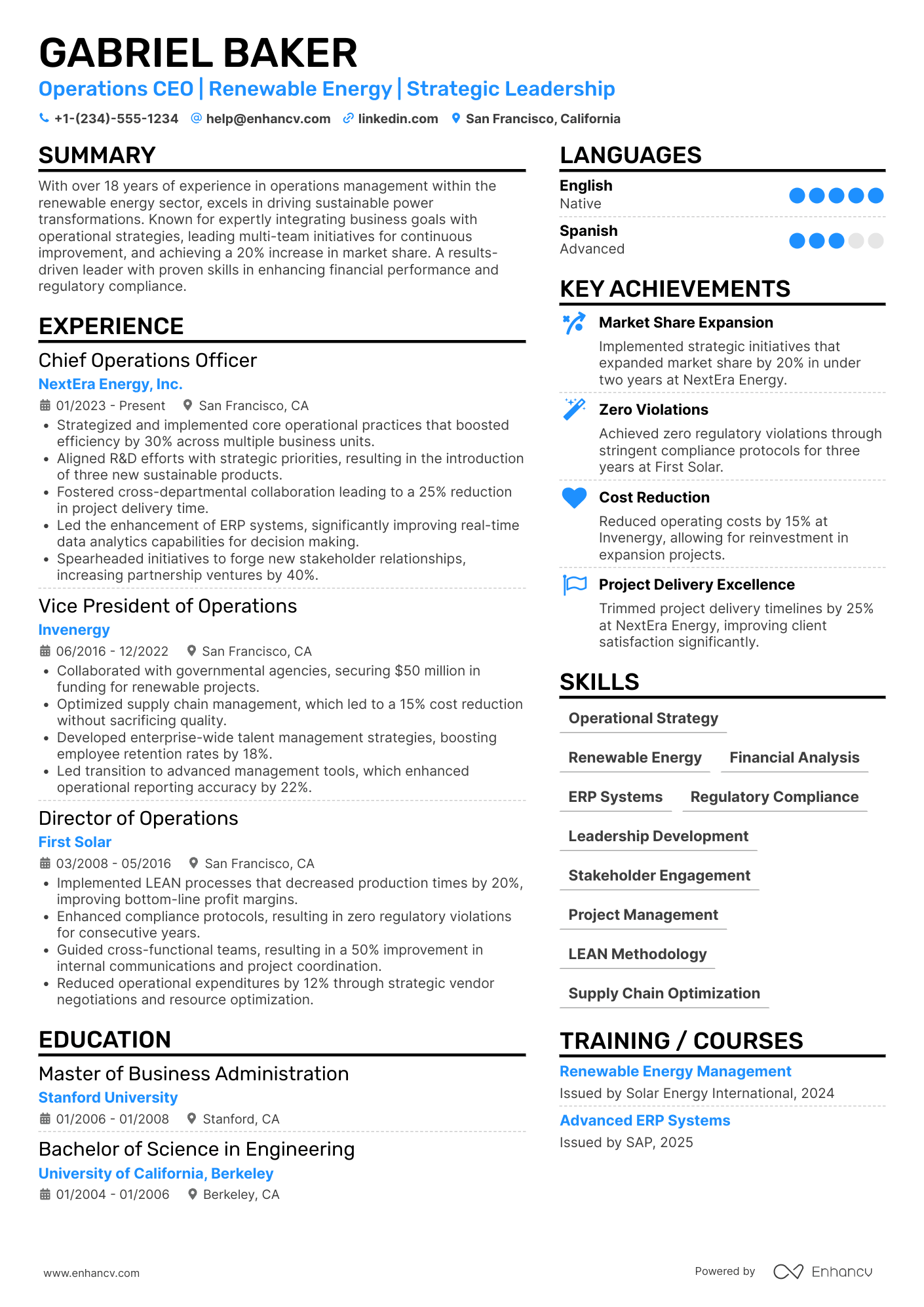 Operations CEO Resume Example