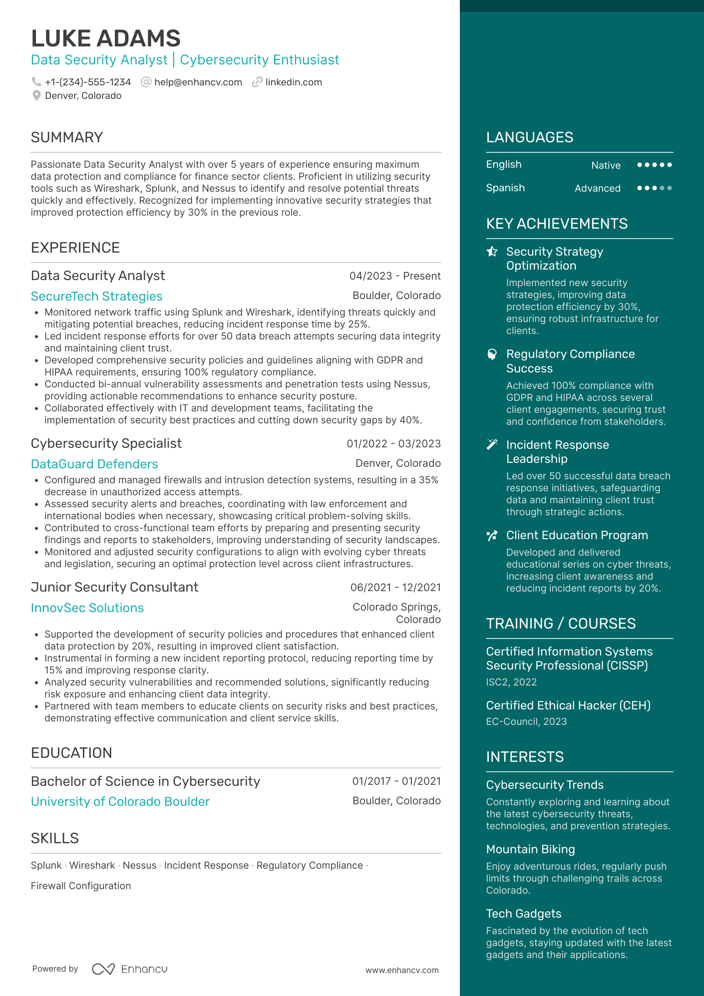 Data Security Analyst Resume Example