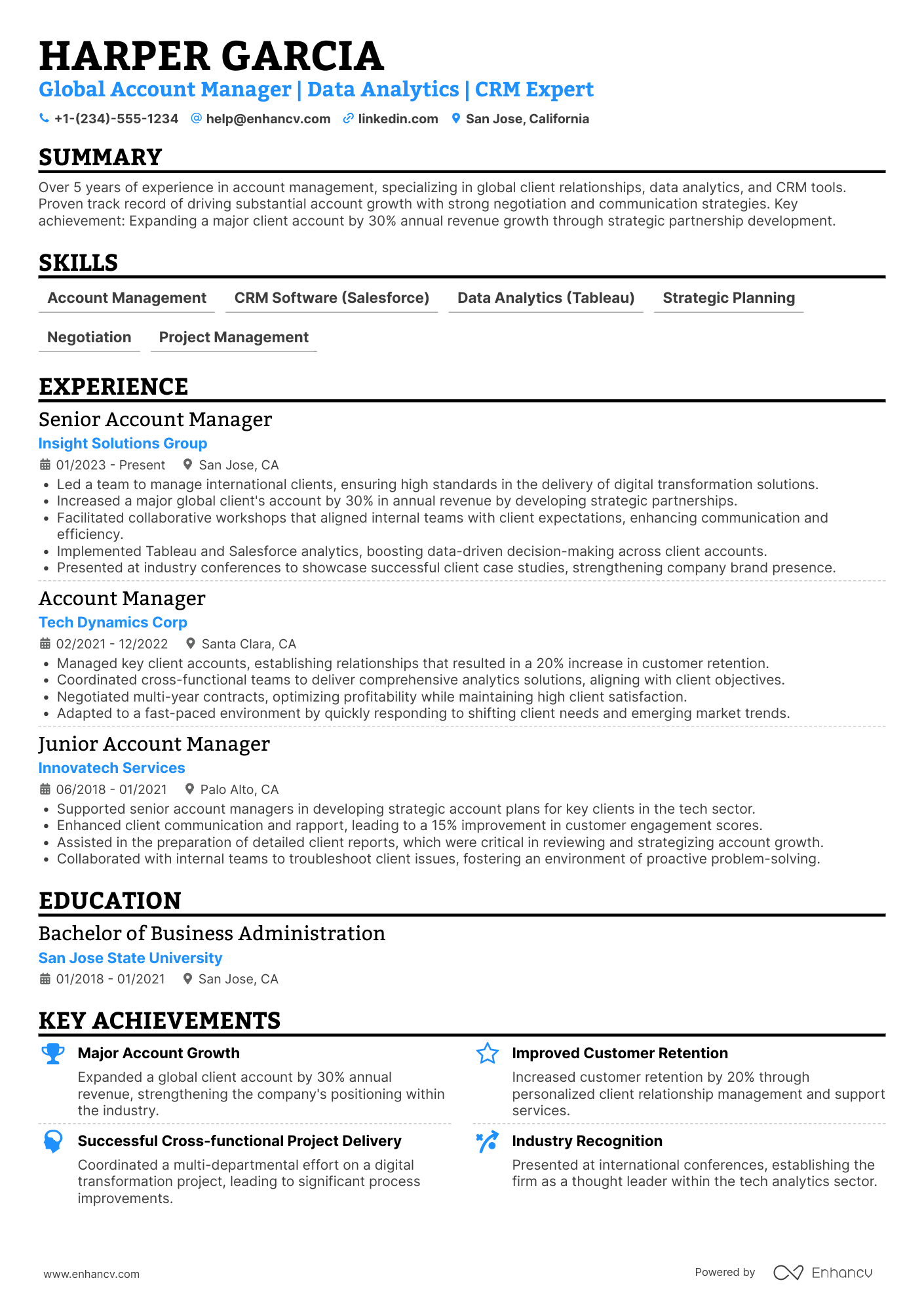 Global Account Manager Resume Example