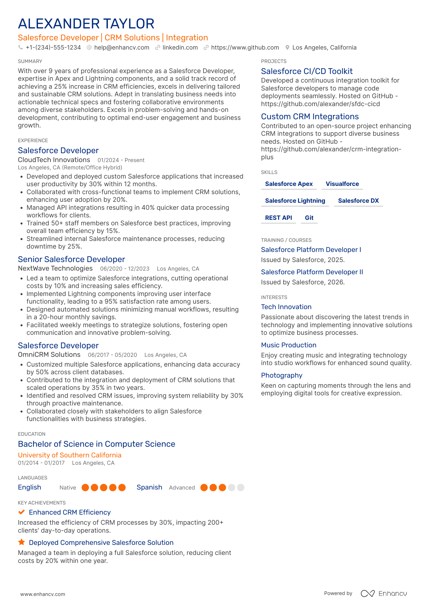 Salesforce Developer Resume Example