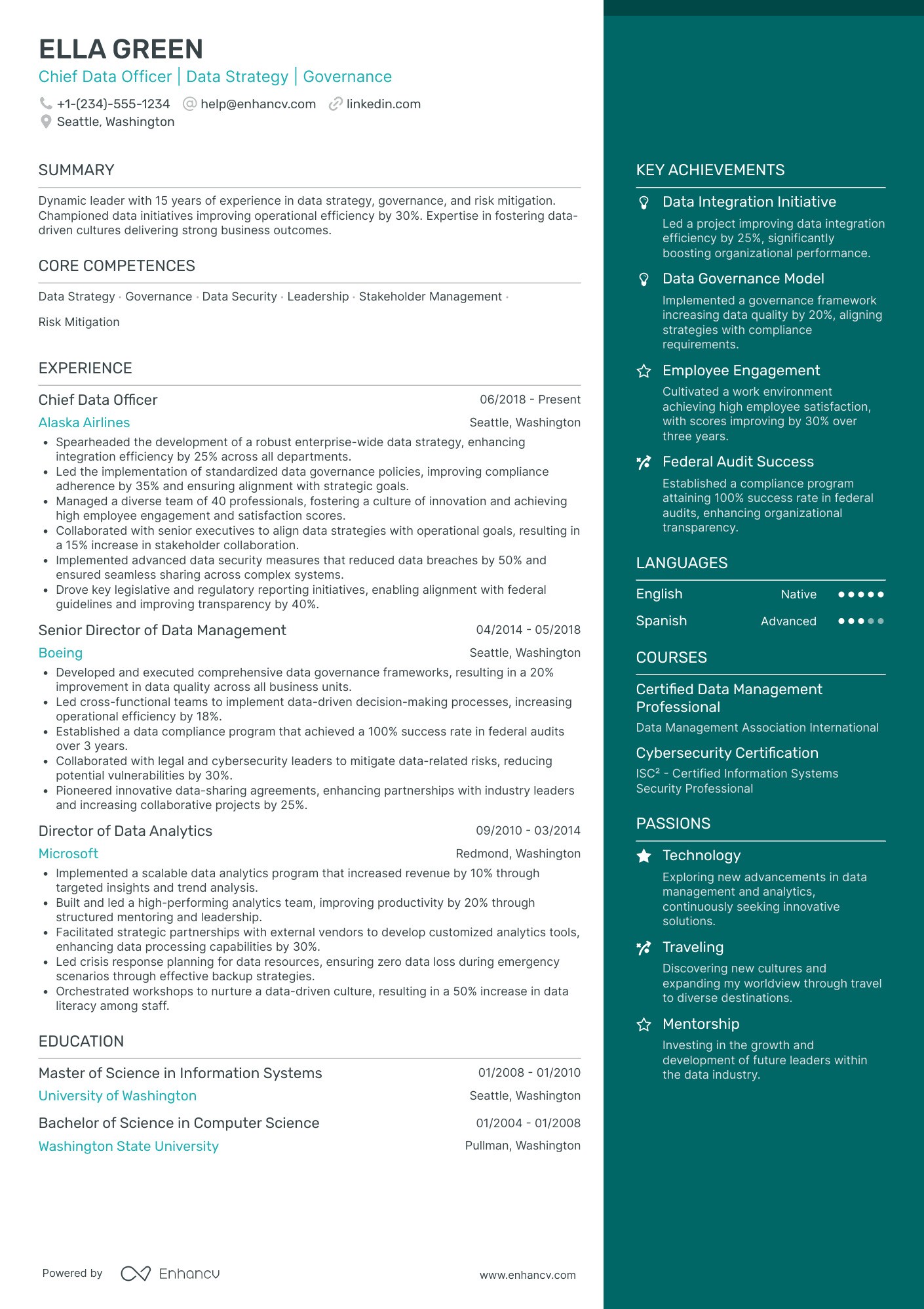 Global Chief Data Officer Resume Example