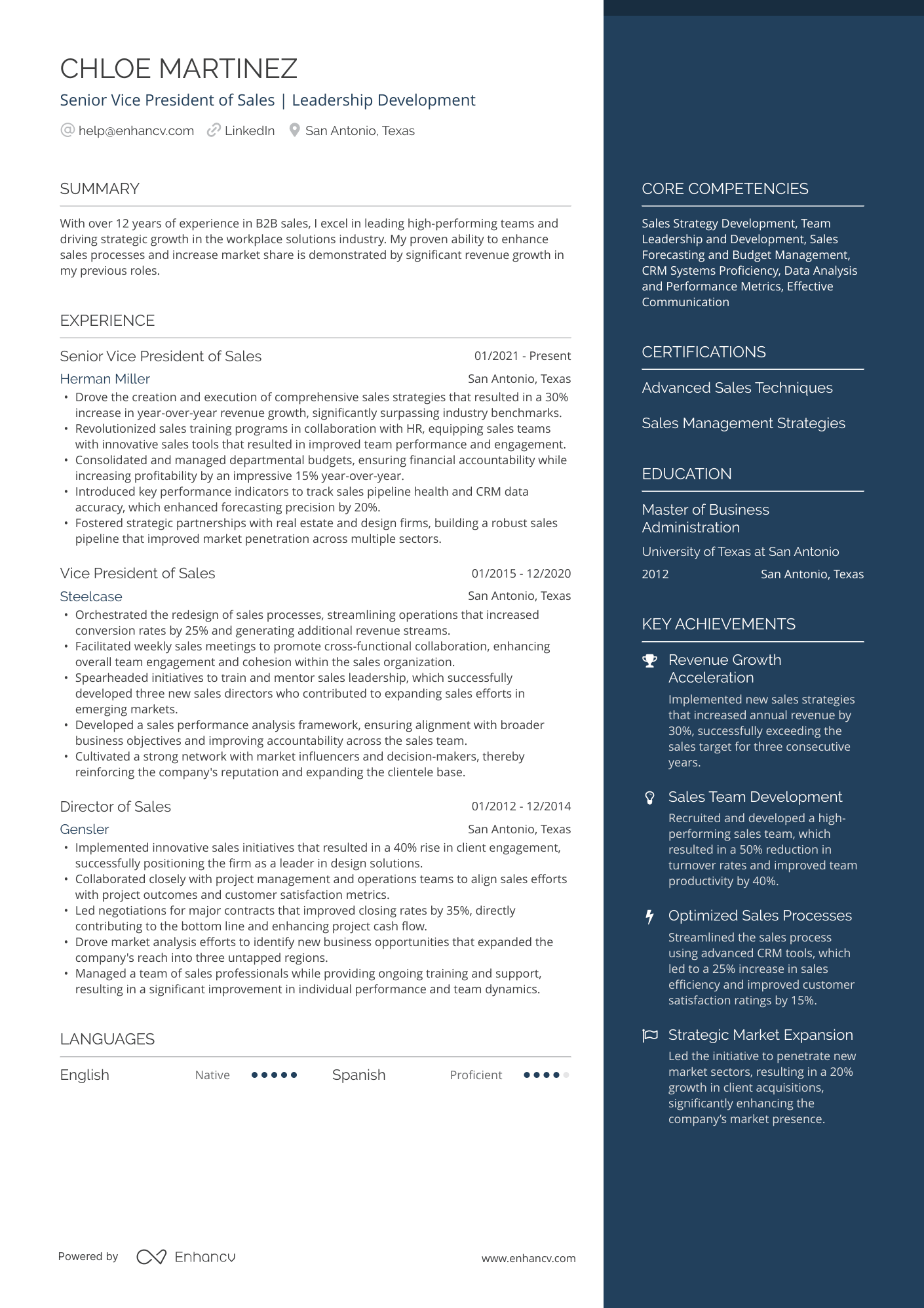Vice President of Sales Resume Example