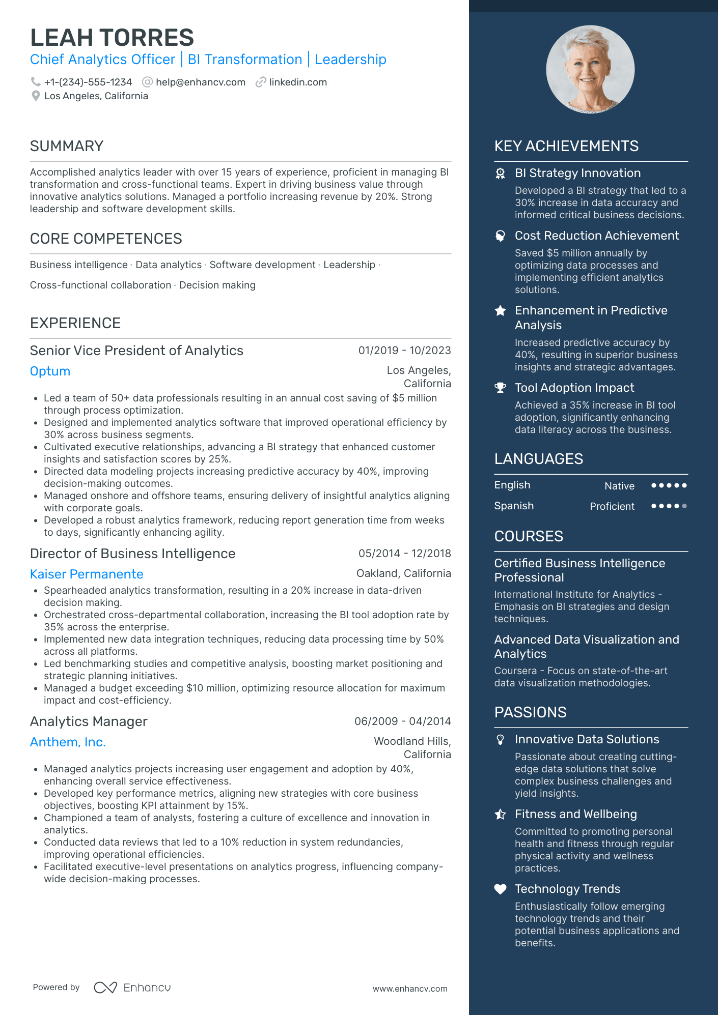 Global Chief Analytics Officer Resume Example
