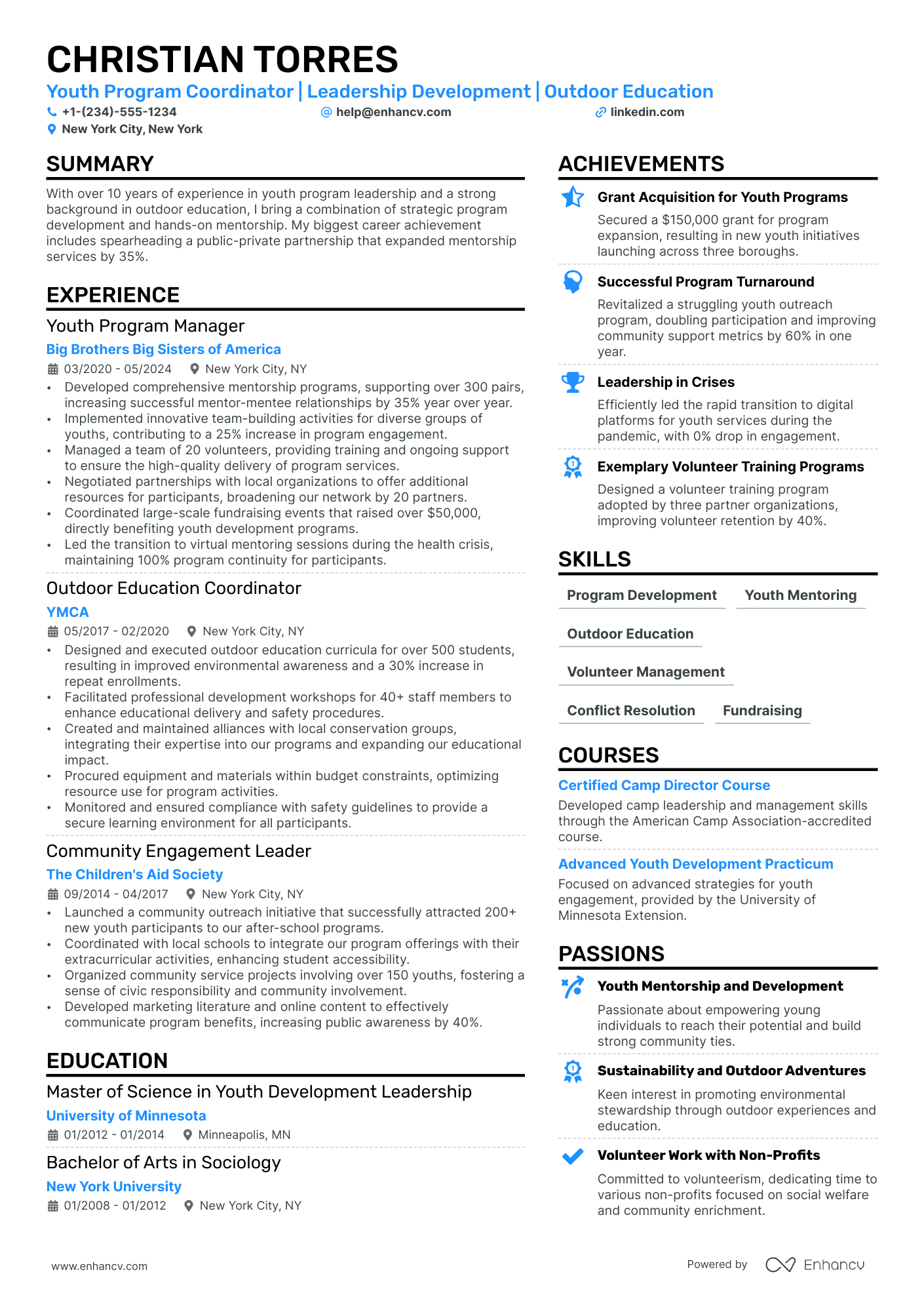 Training Director Resume Example