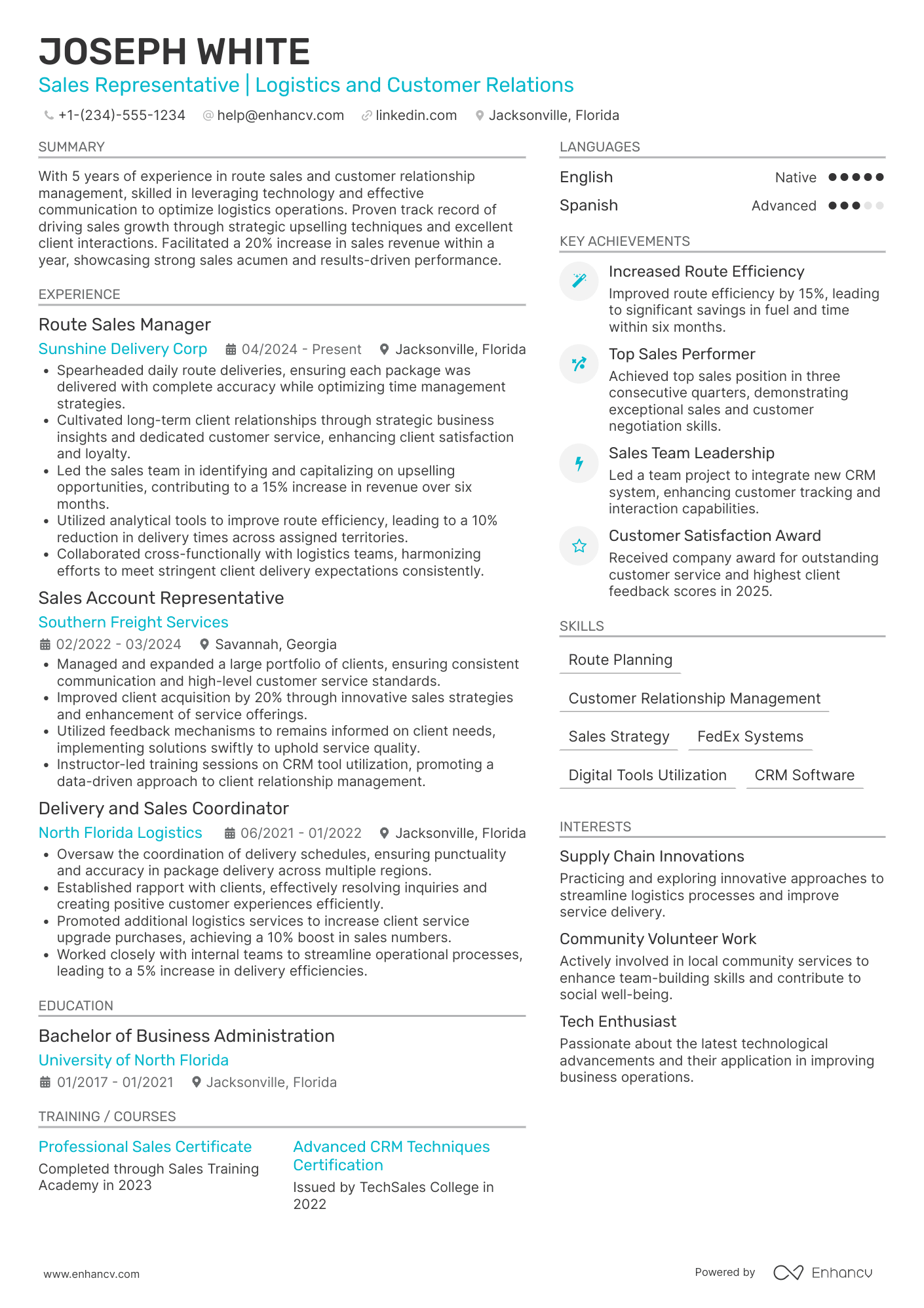 FedEx Route Sales Representative Resume Example