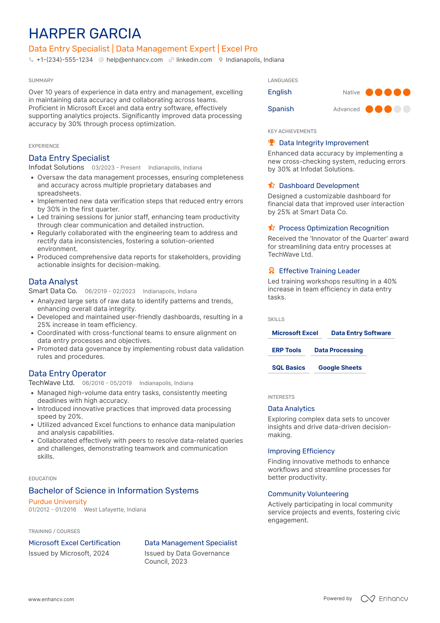 Data Entry Consultant Resume Example