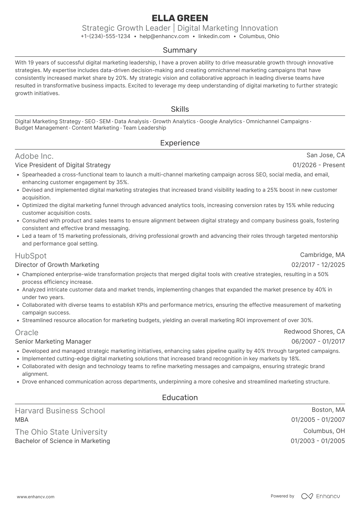Chief Growth Officer for Digital Marketing Resume Example
