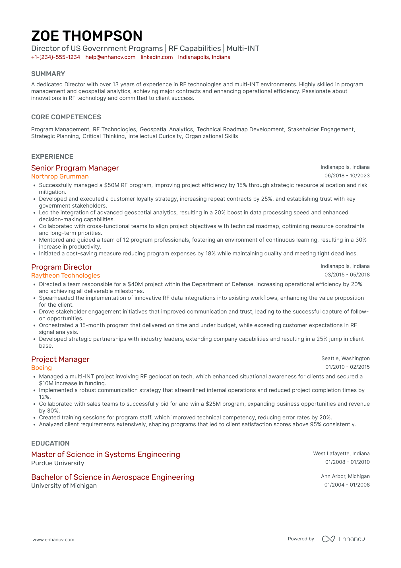 Chief Networking Officer in Government Resume Example