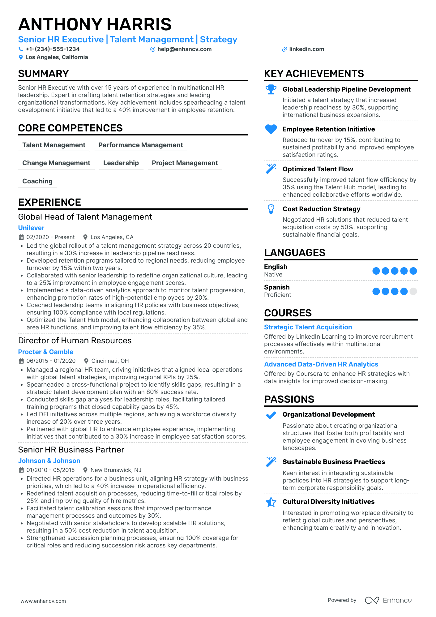 Chief Learning and Talent Officer Resume Example