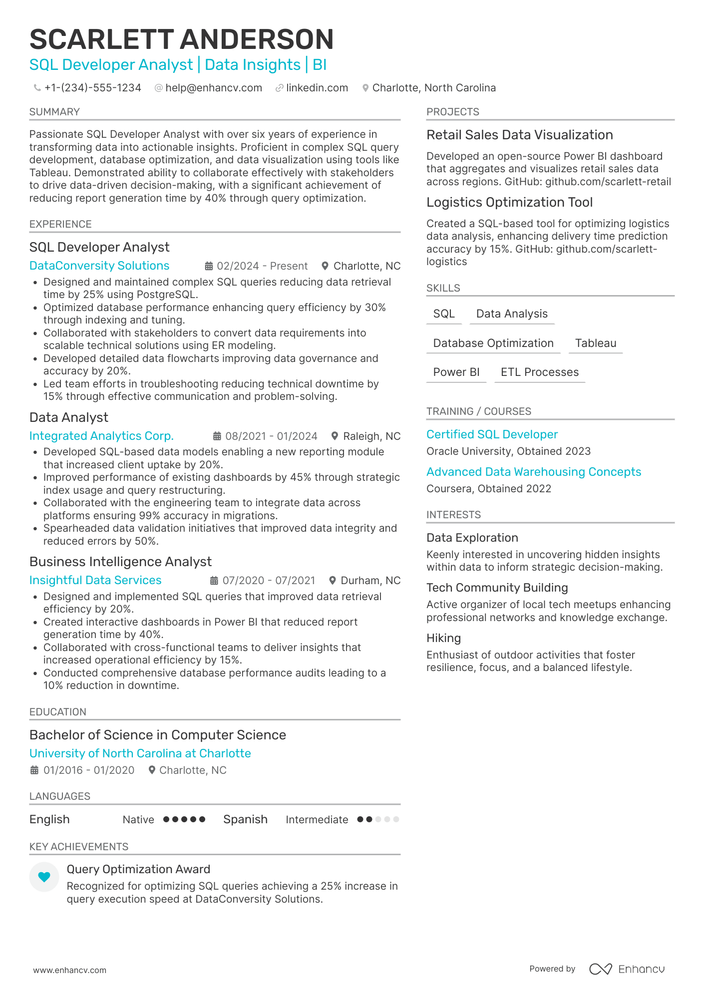 SQL Developer Analyst Resume Example