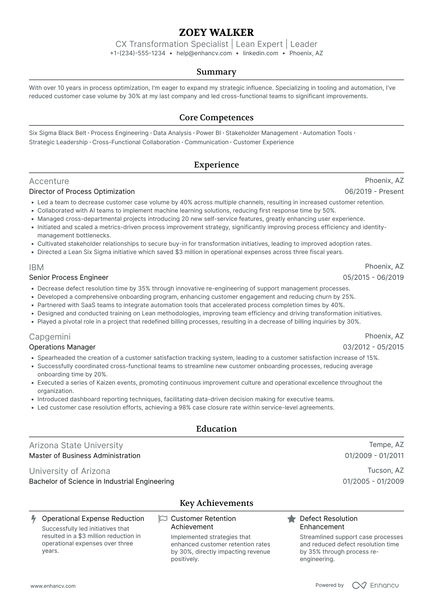 Chief Customer Experience Officer Resume Example