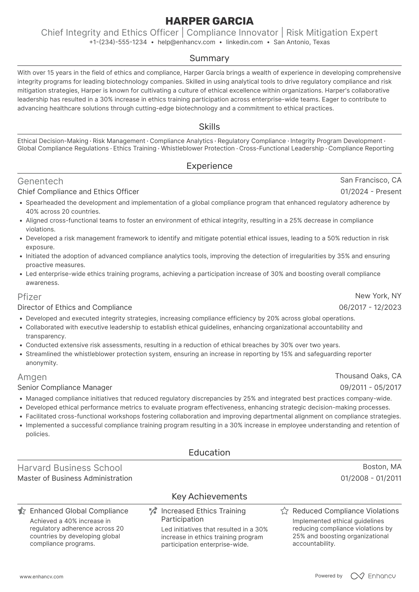 Chief Integrity and Ethics Officer Resume Example