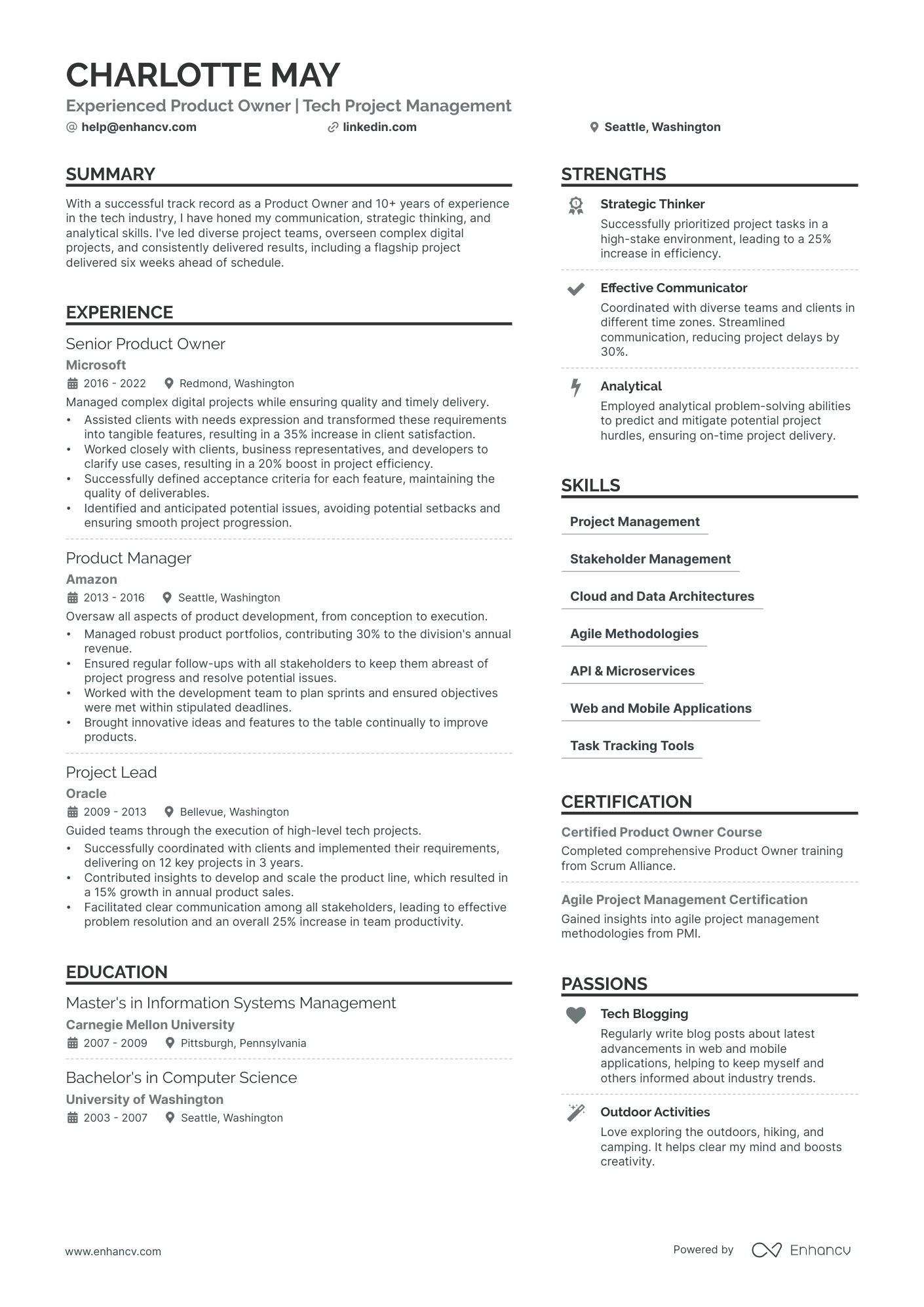 Product Owner Resume Example