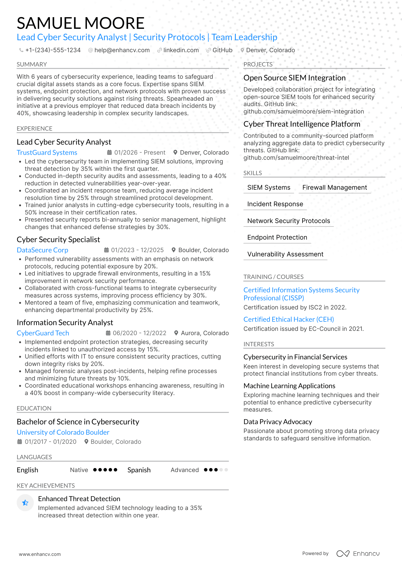Lead Cyber Security Analyst Resume Example