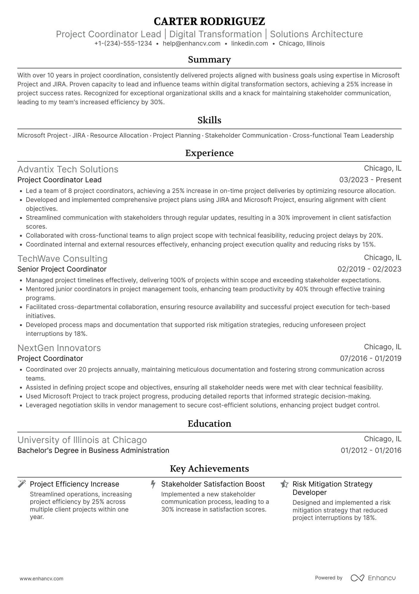 Project Coordinator Lead Resume Example