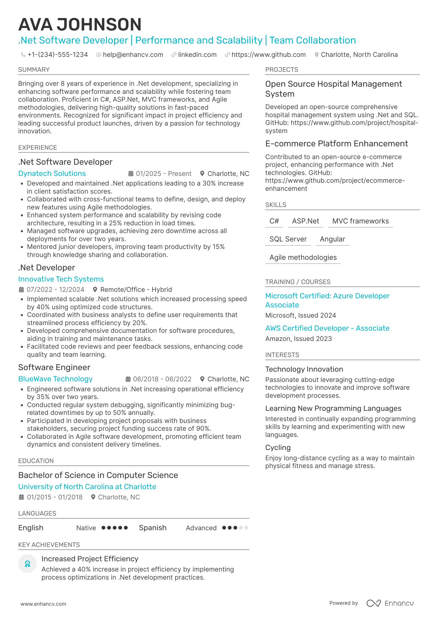 .Net Software Developer Resume Example