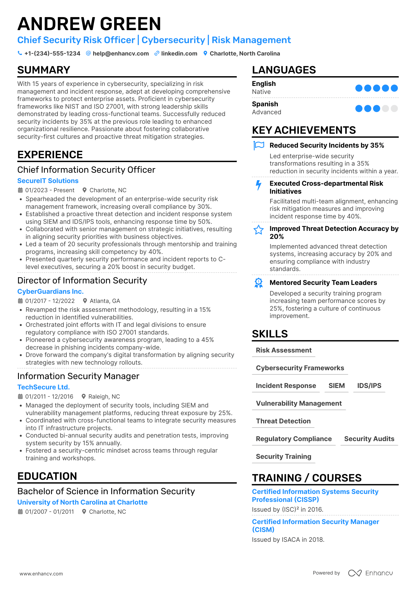 Chief Security Risk Officer Resume Example
