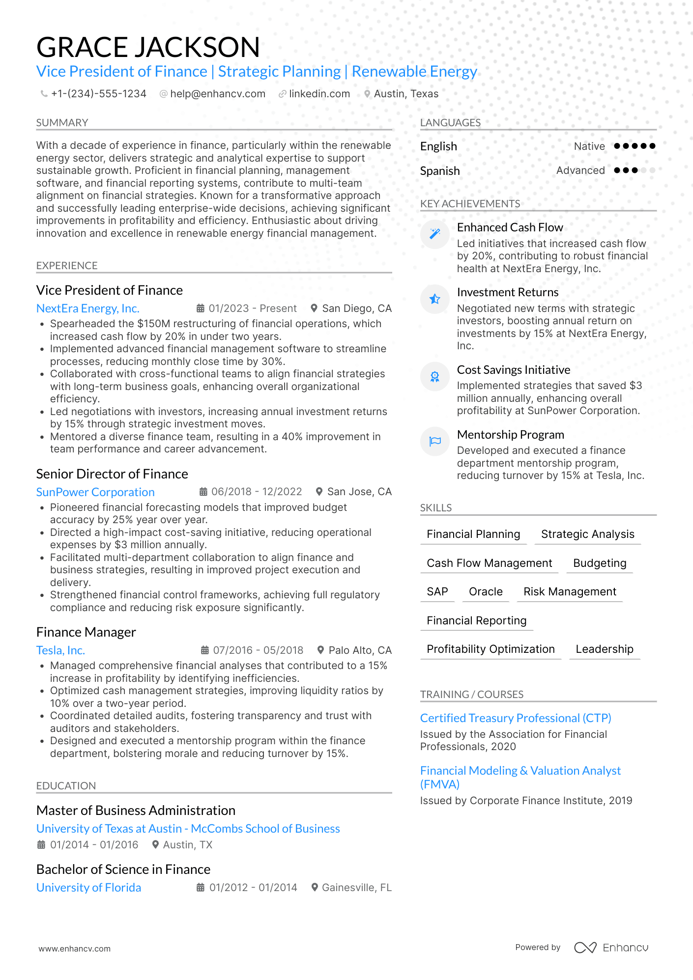 Vice President of Finance Resume Example