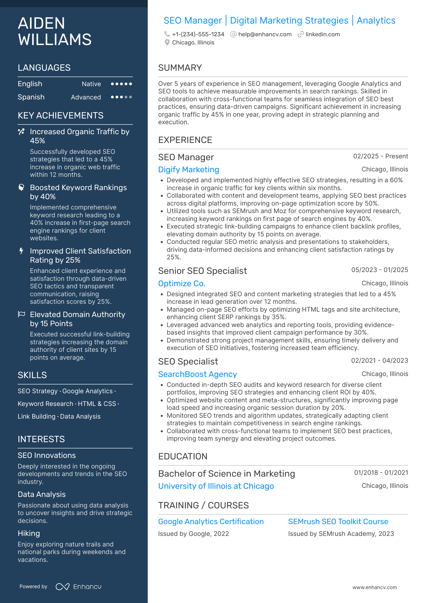 SEO Manager Resume Example