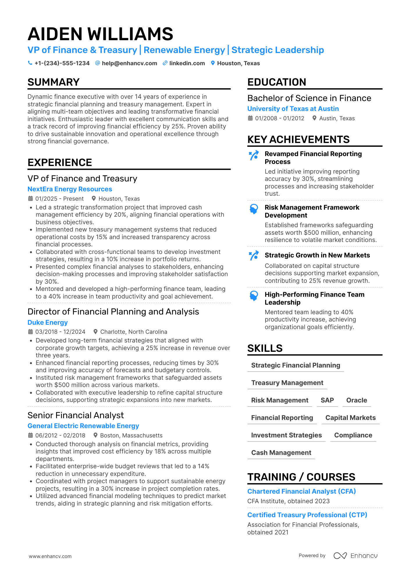 VP of Finance and Treasury Resume Example