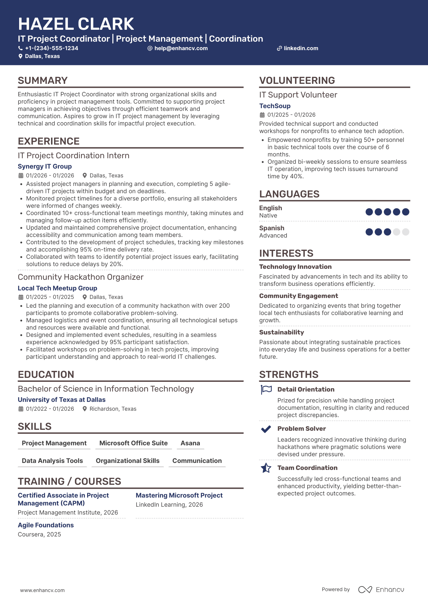 Entry Level IT Project Coordinator Resume Example