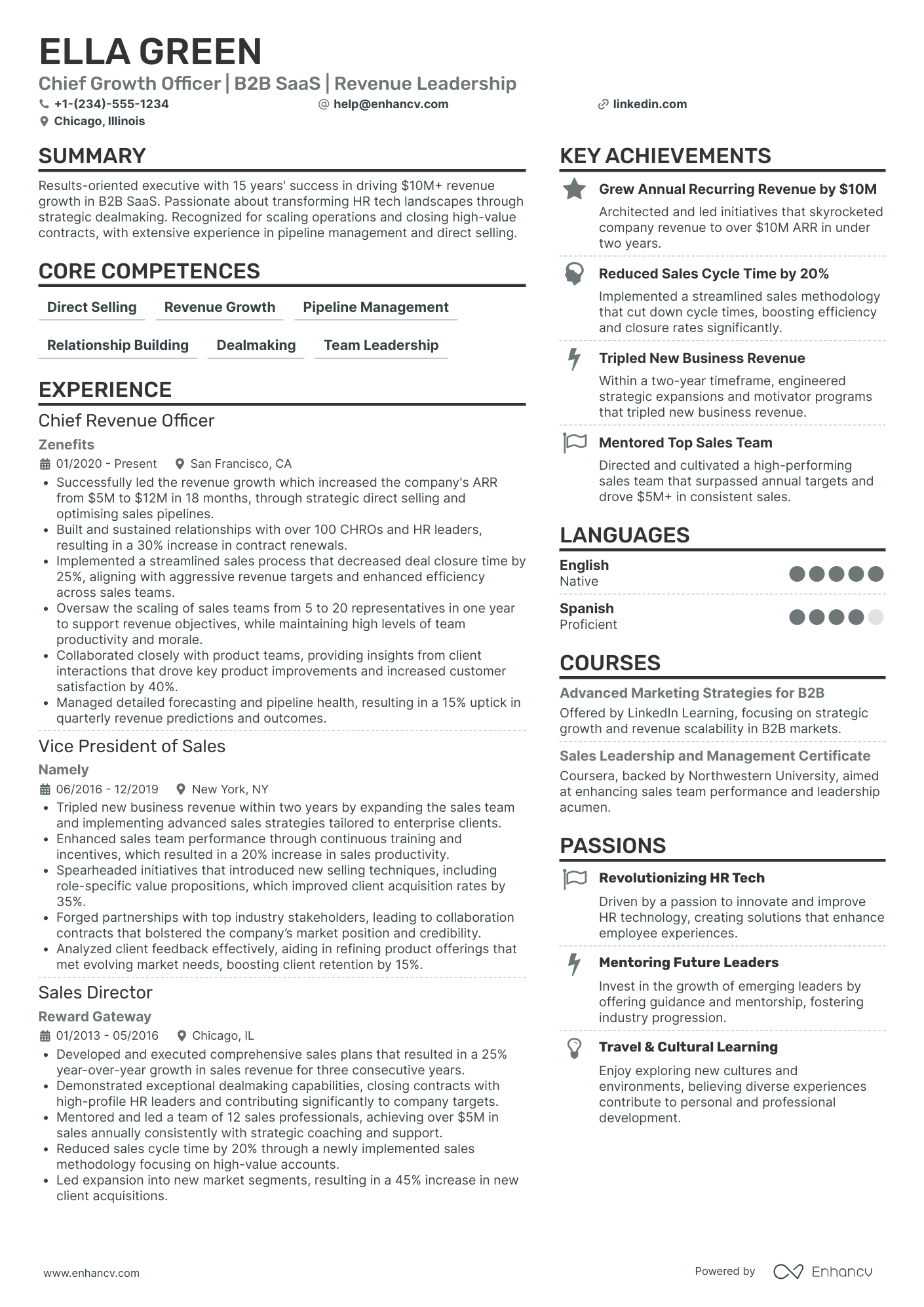 Chief Growth Officer for SaaS Resume Example