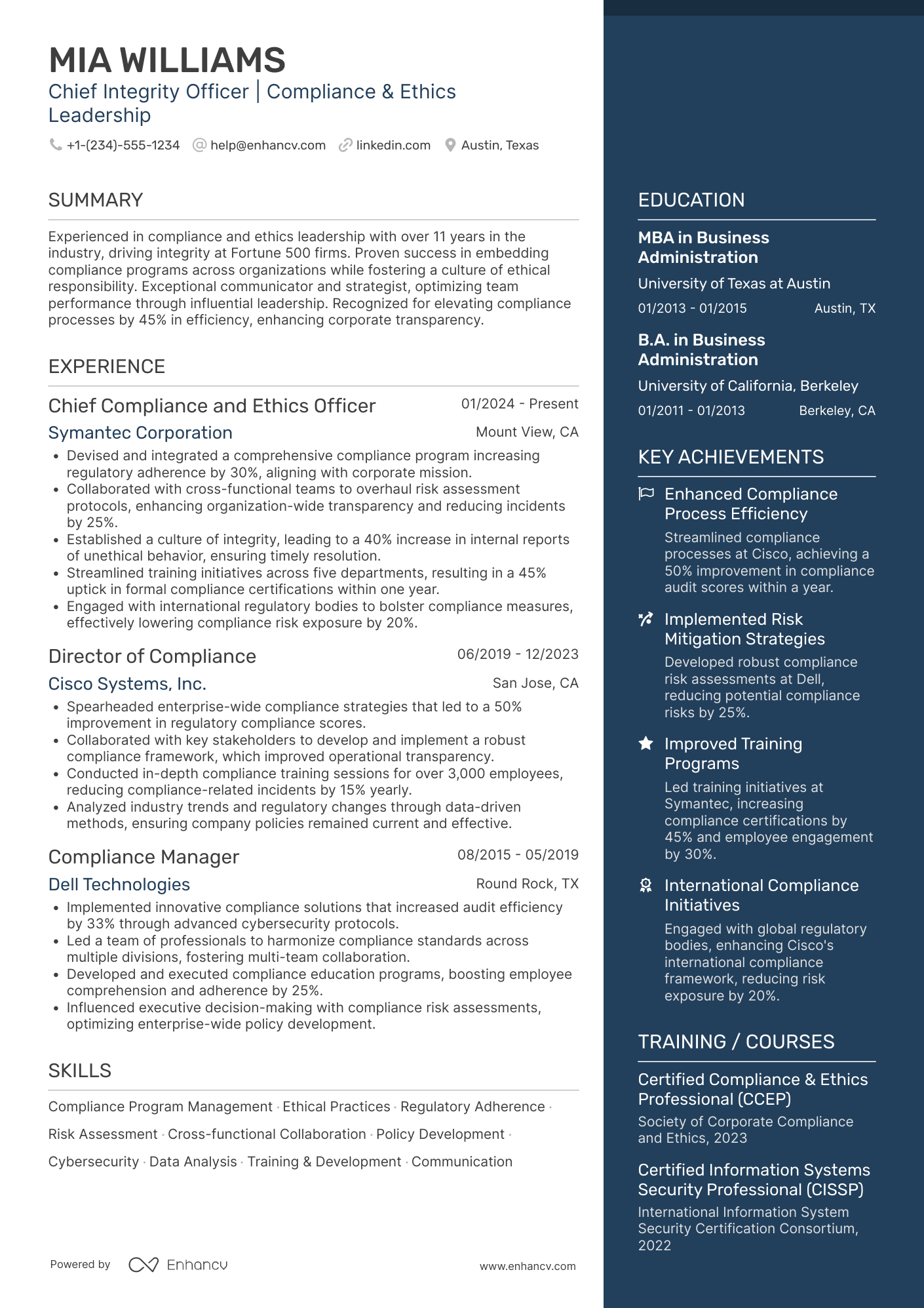 Chief Integrity Officer Resume Example