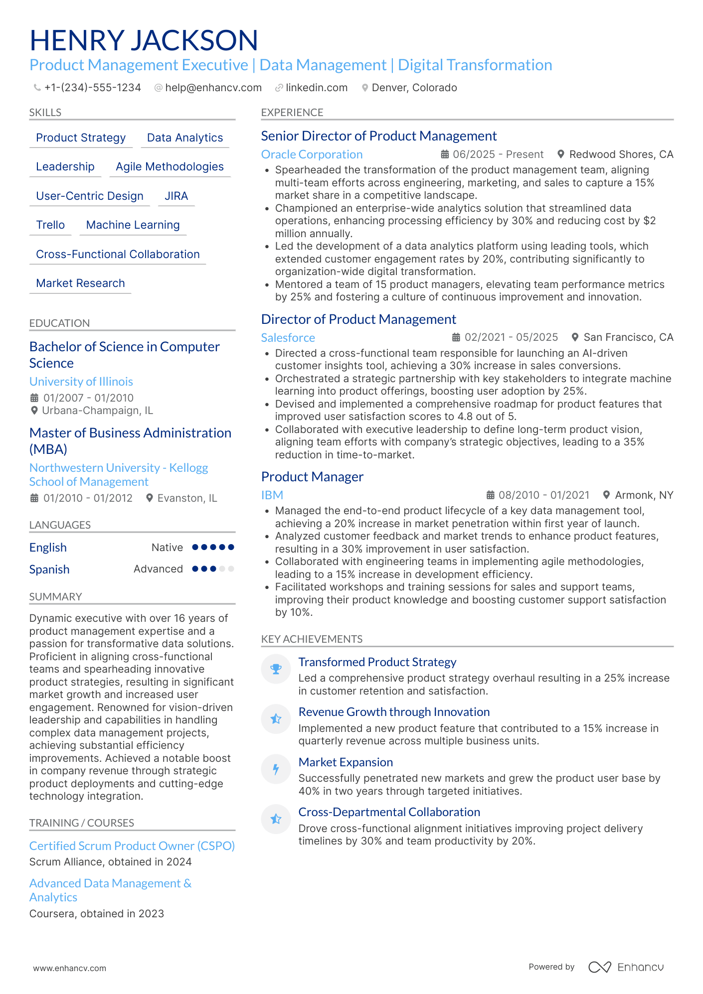 Vice President of Product Management Resume Example