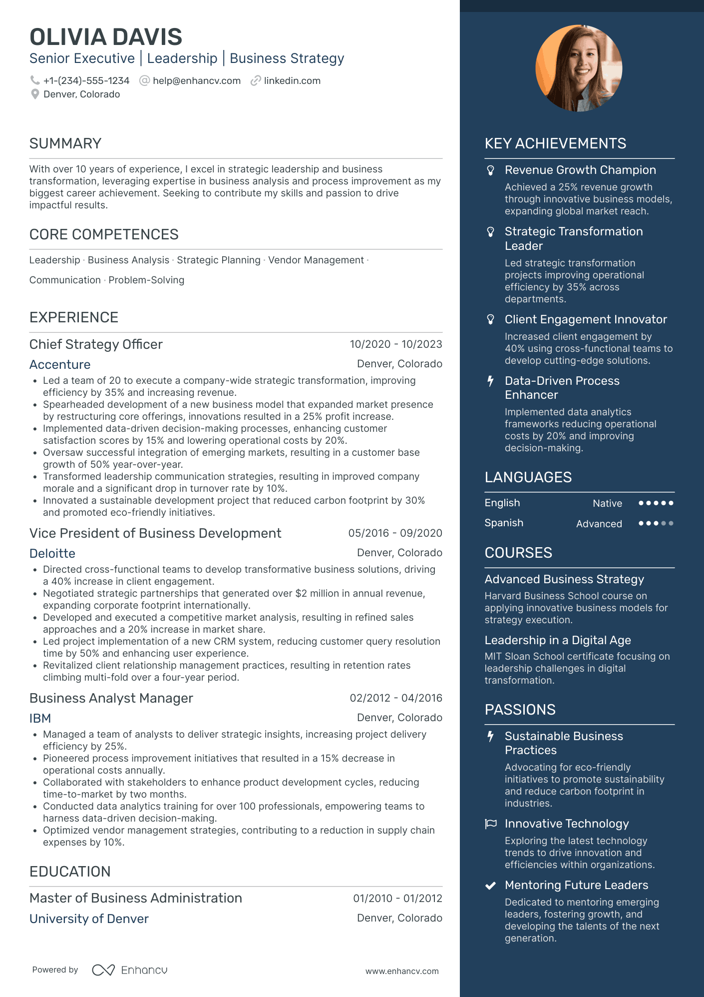 Chief Diversity Officer for Corporate Strategy Resume Example