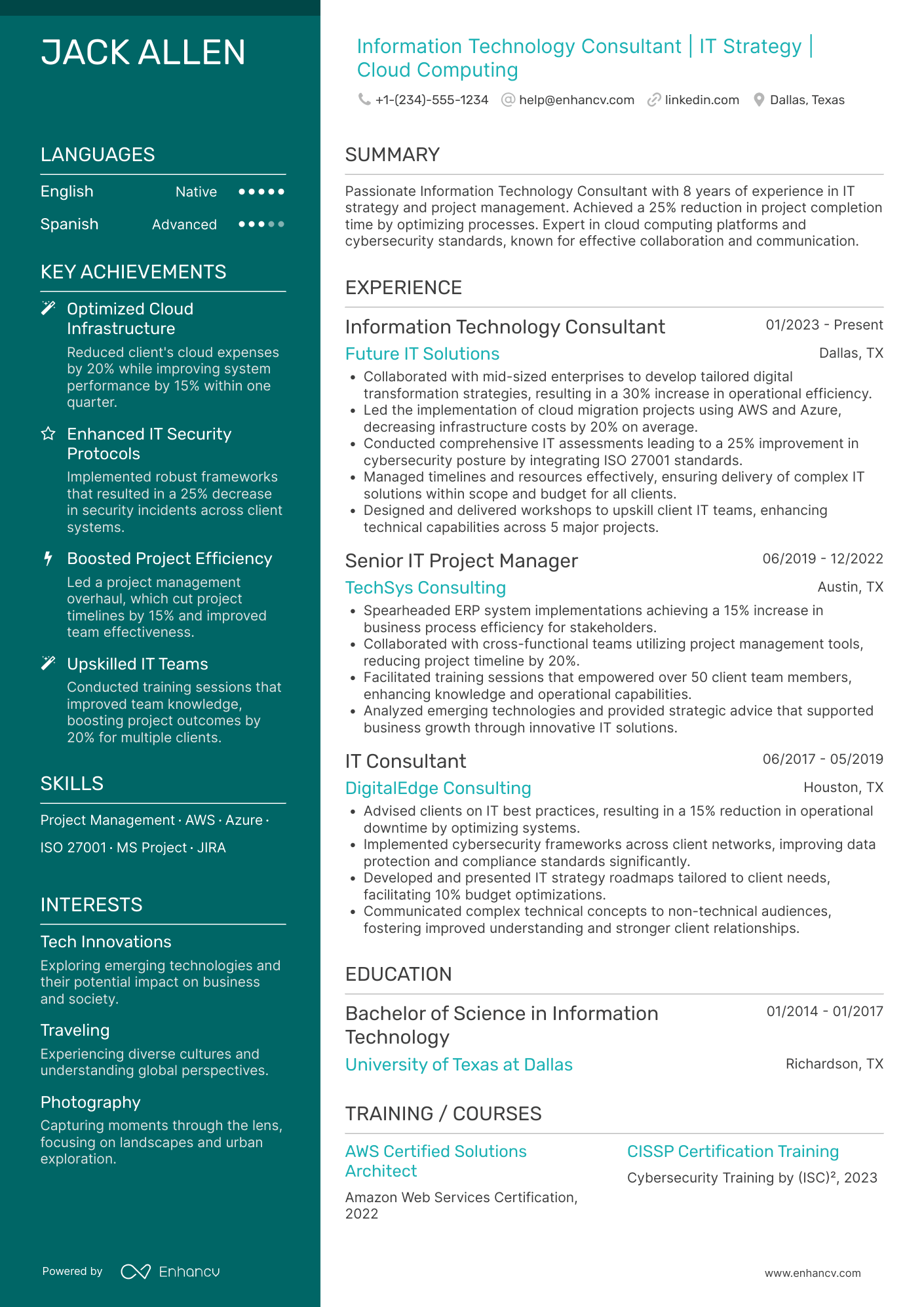 Information Technology Consultant Resume Example