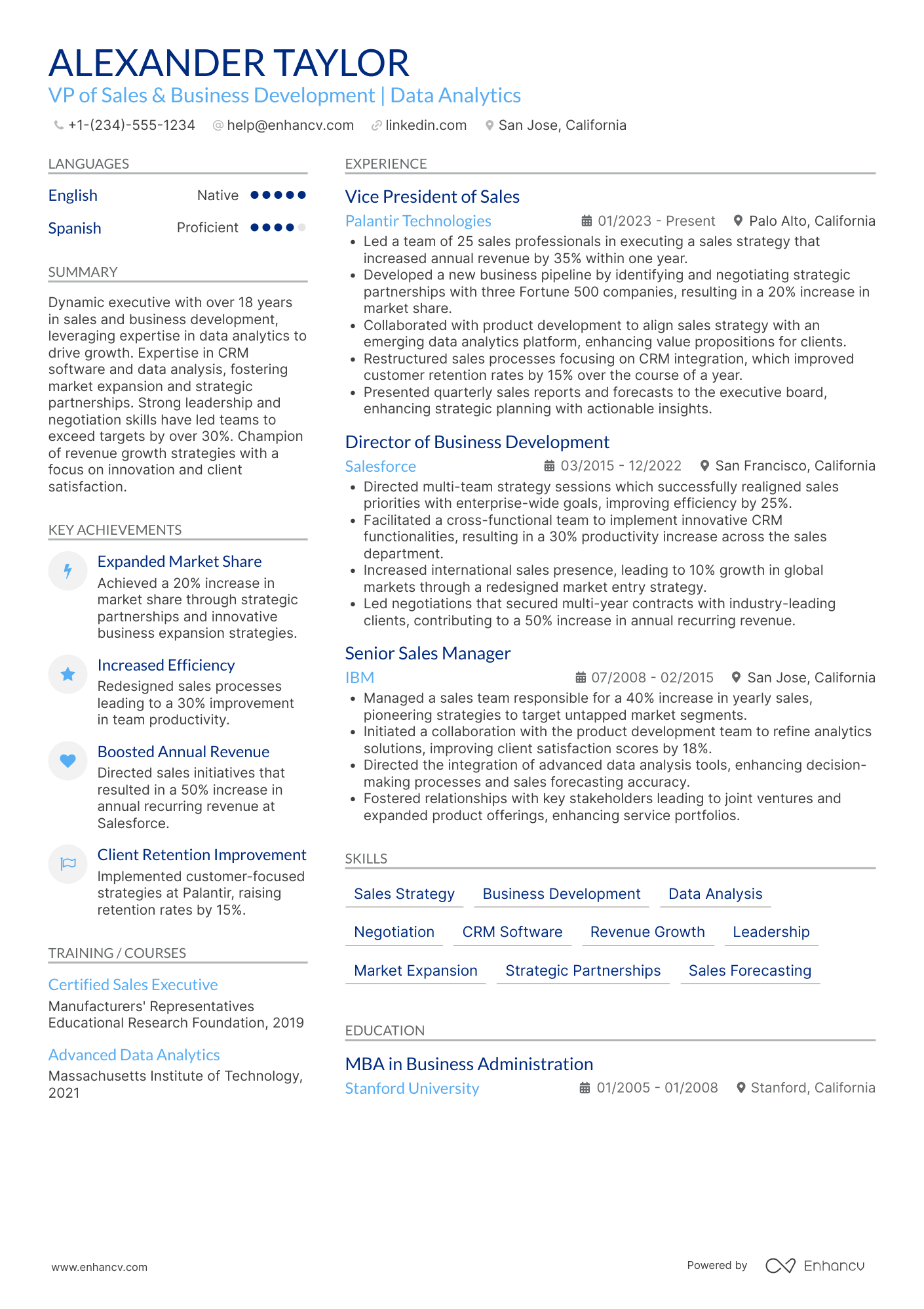 VP of Sales and Business Development Resume Example