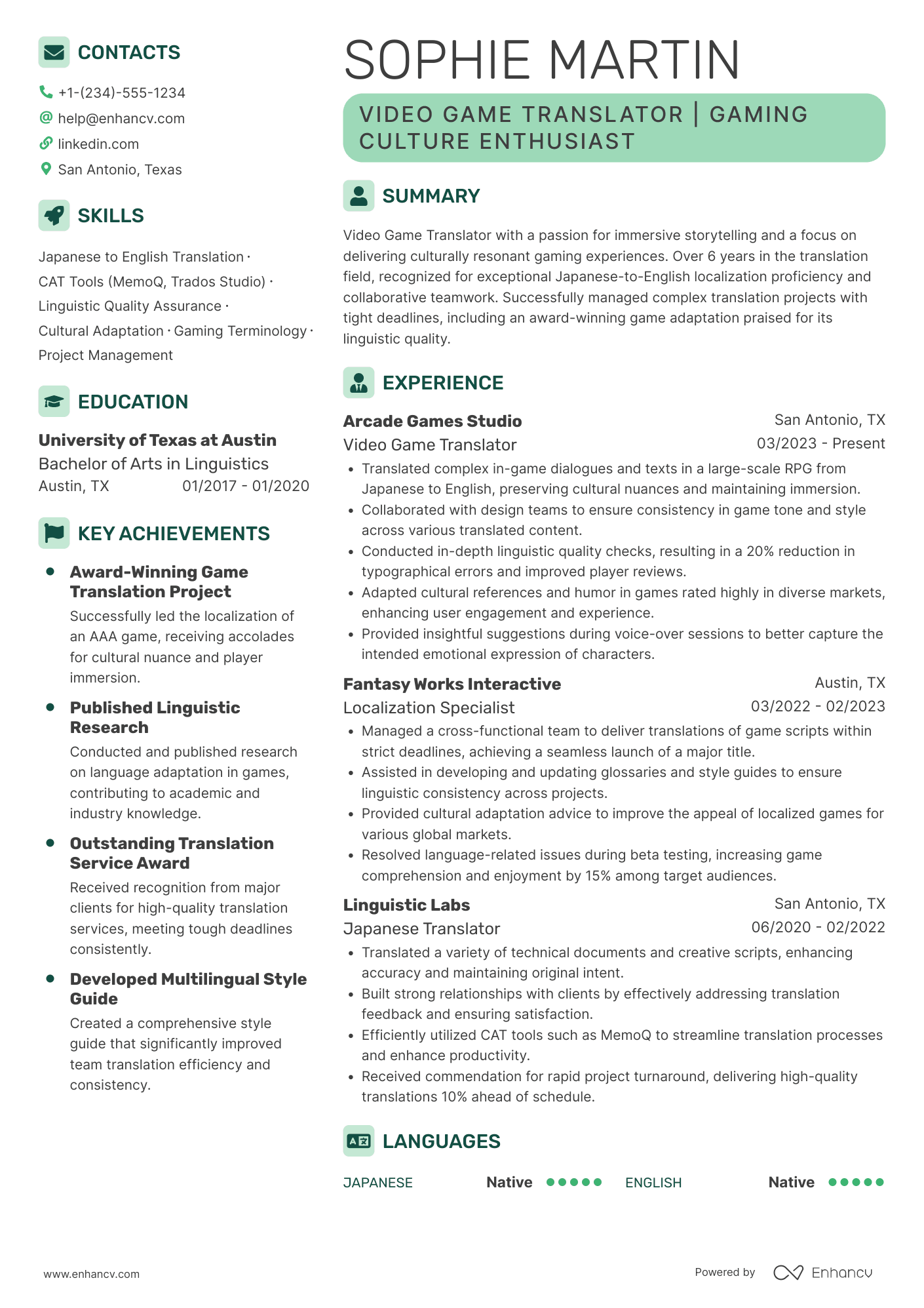 Video Game Translator Resume Example