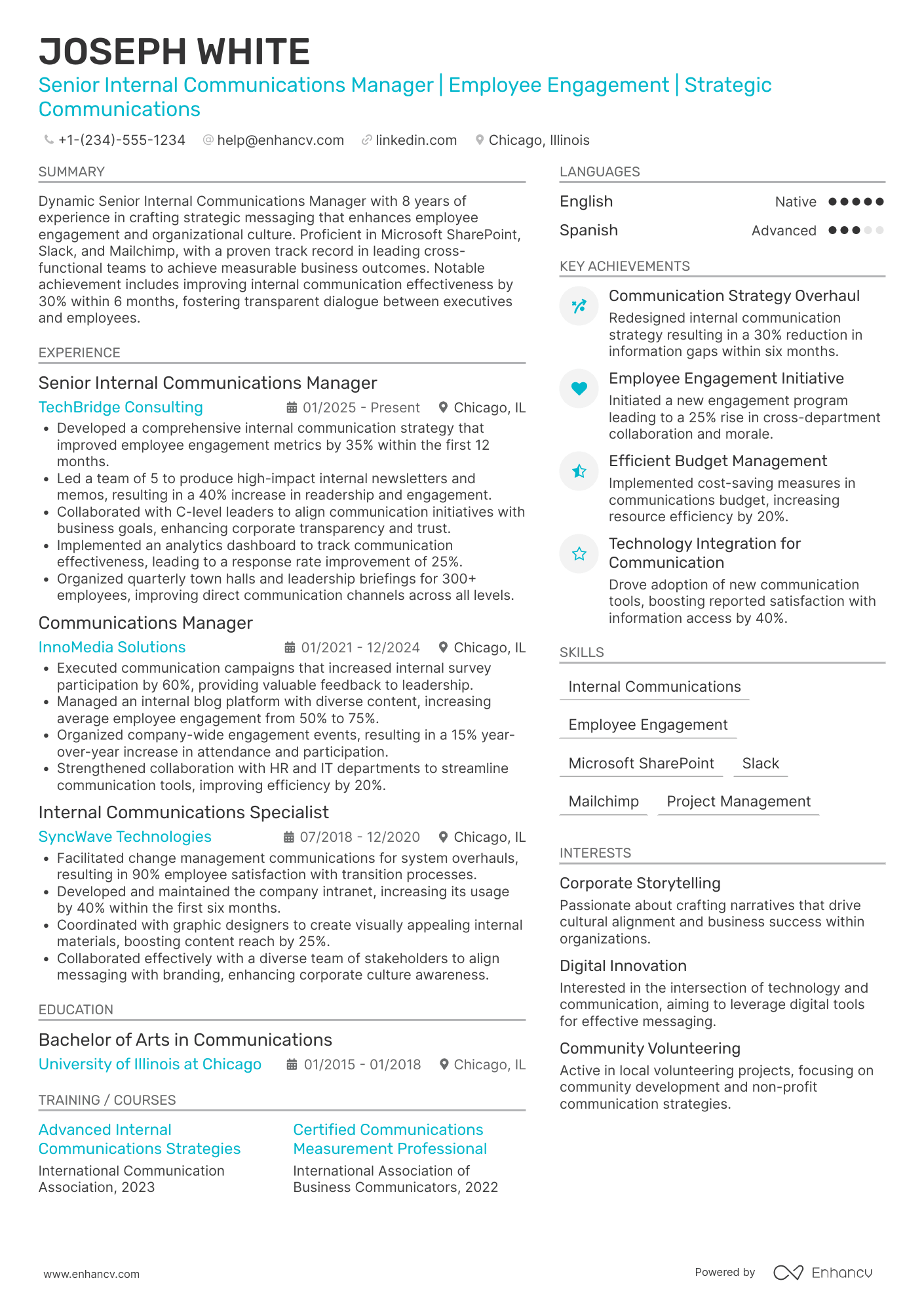 Senior Internal Communications Manager Resume Example