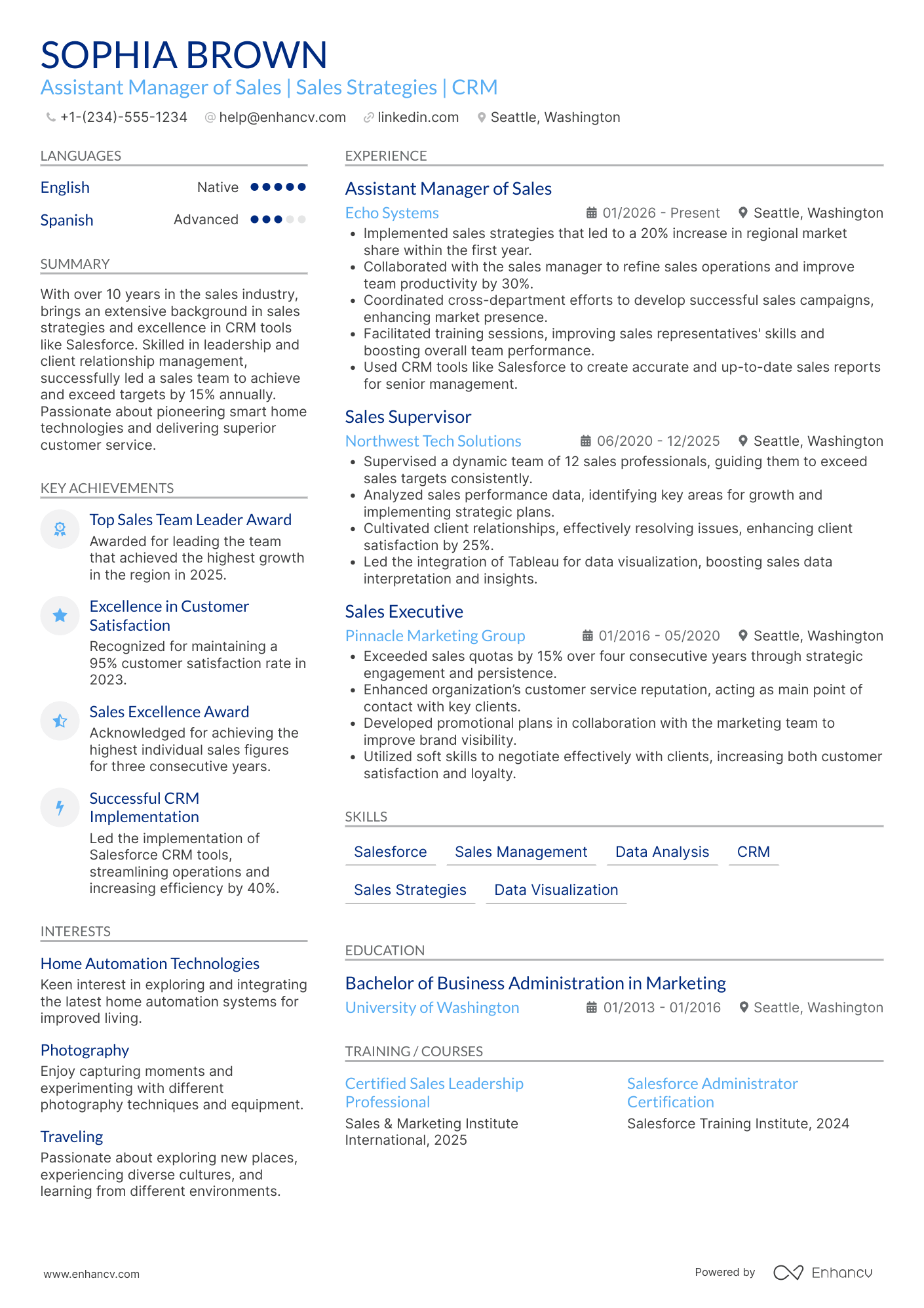 Assistant Manager of Sales Resume Example