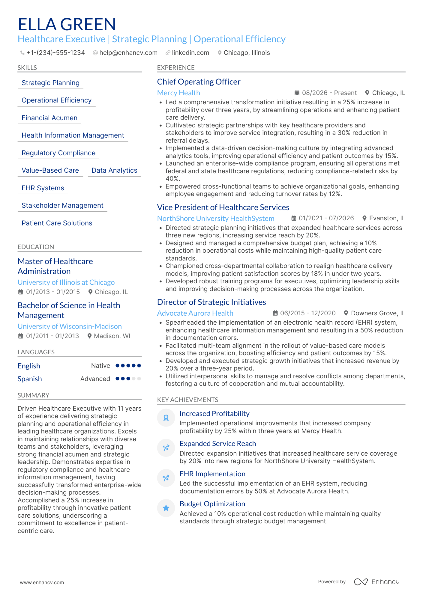 Healthcare CEO Resume Example