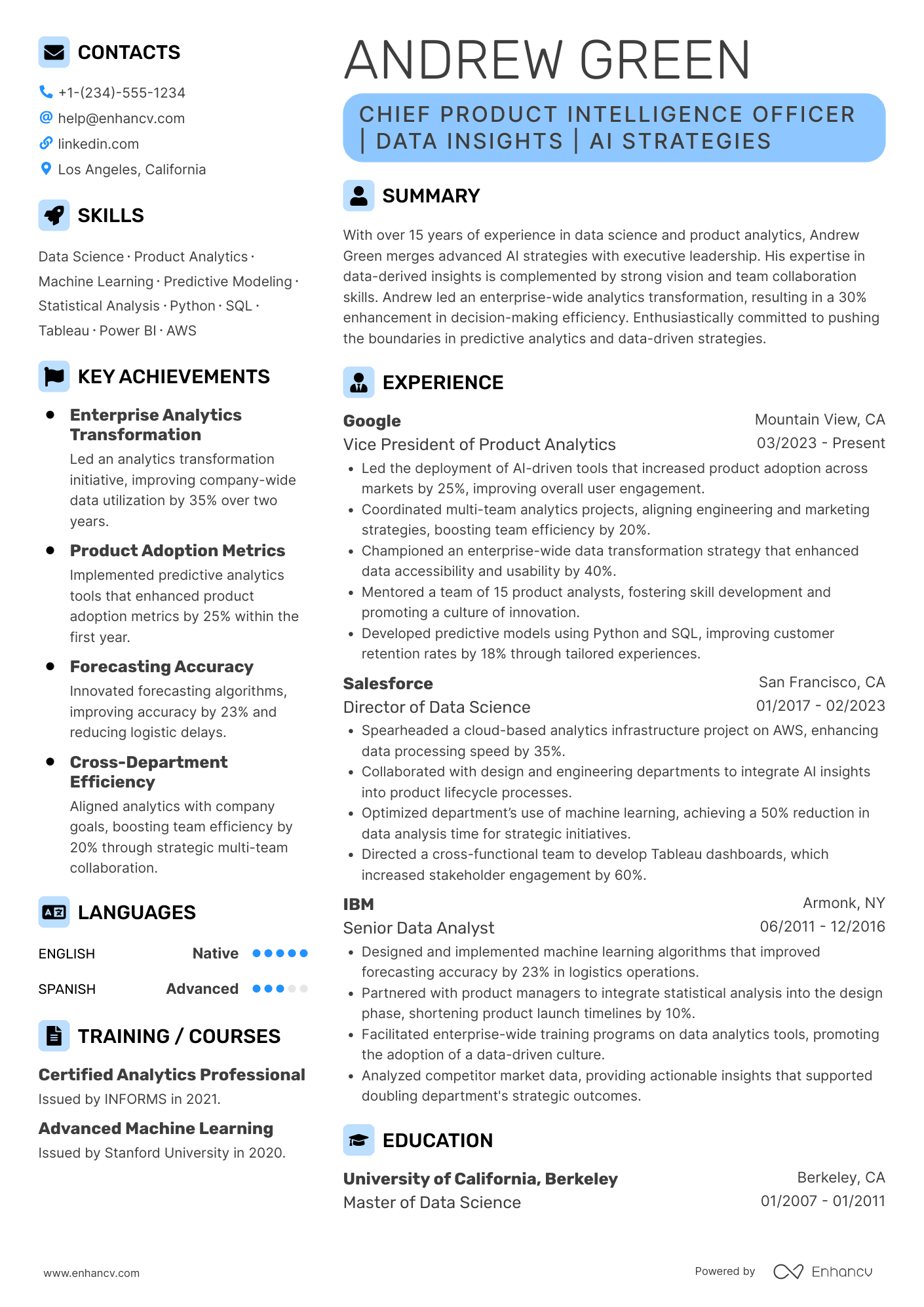 Chief Product Intelligence Officer Resume Example