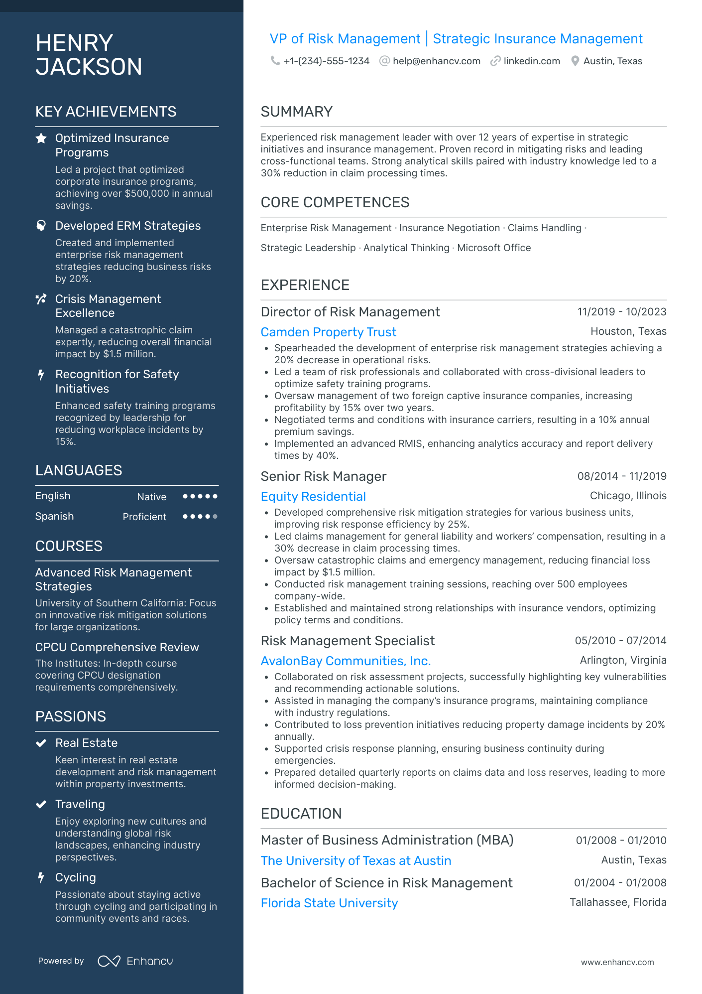 Chief Risk Officer in Insurance Resume Example