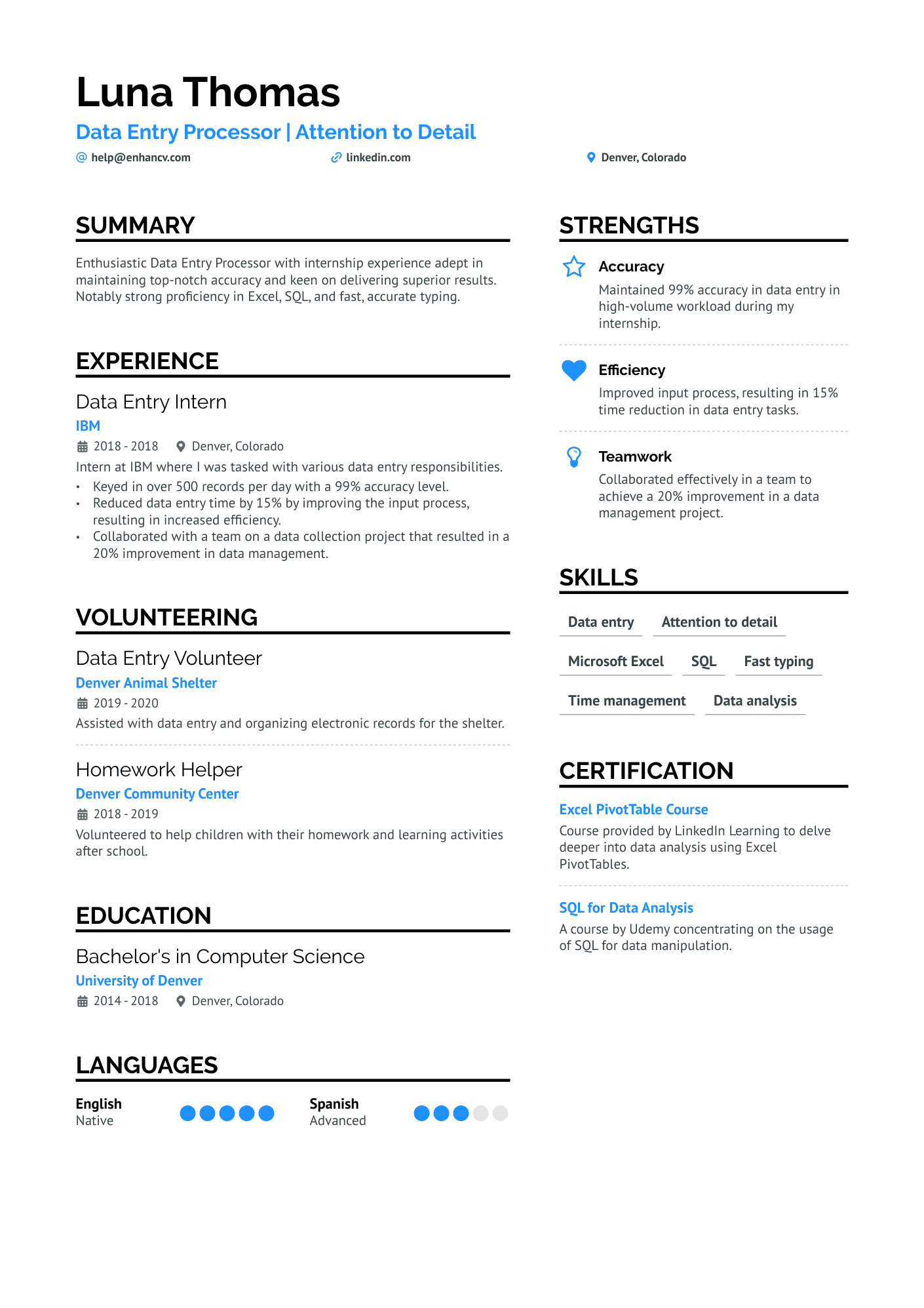 Data Entry Processor Resume Example