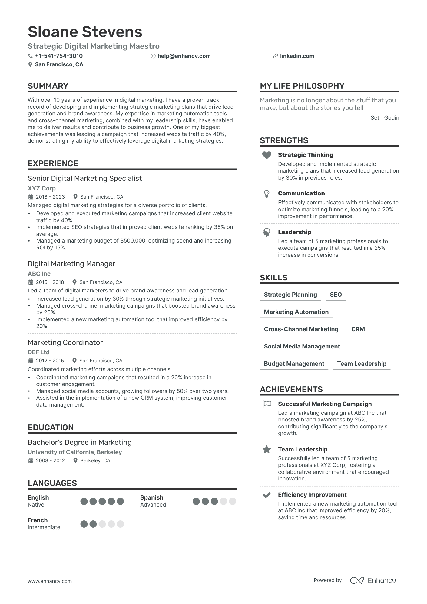 Digital Marketing Consultant Resume Example