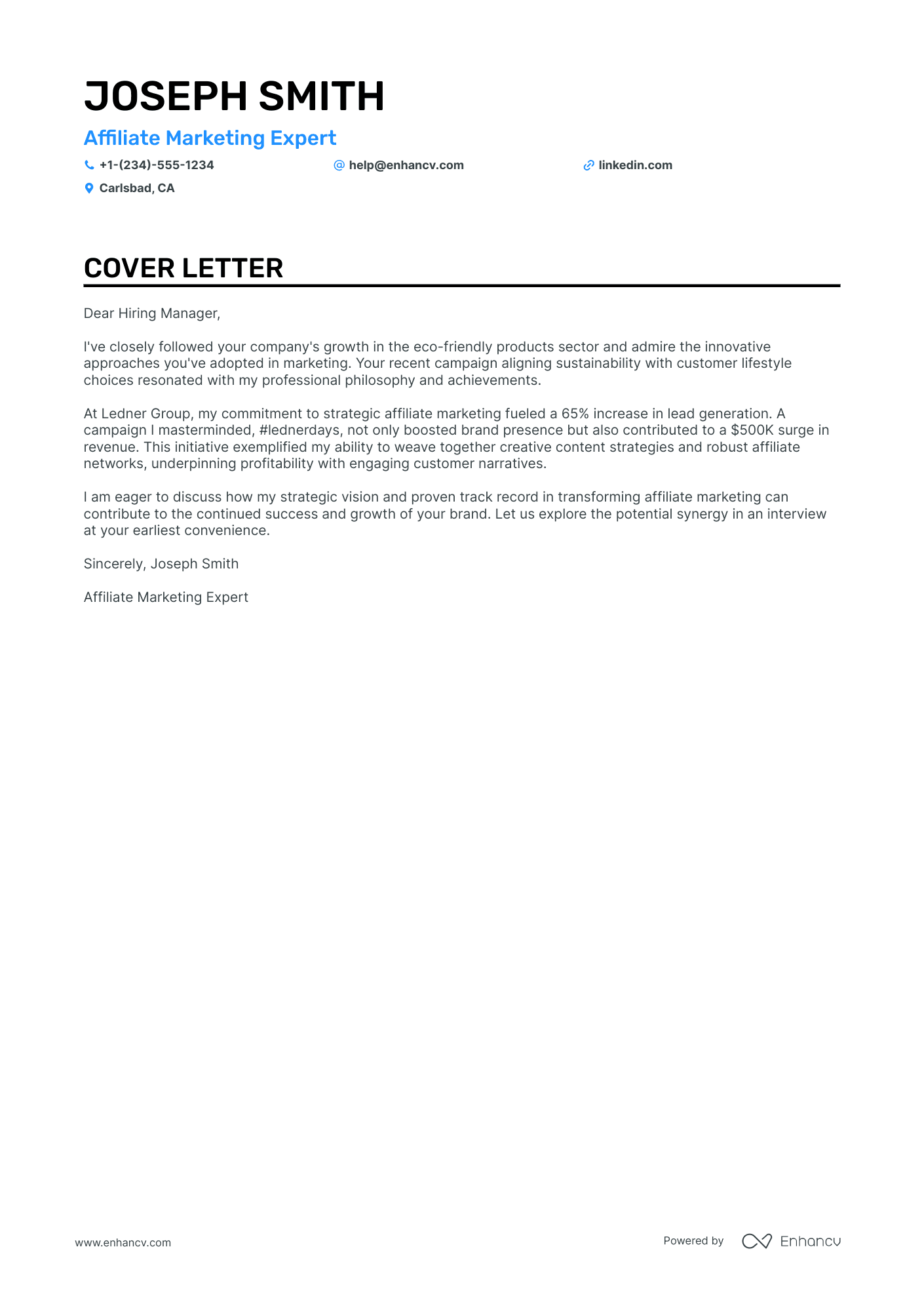 Affiliate Marketing Resume Example