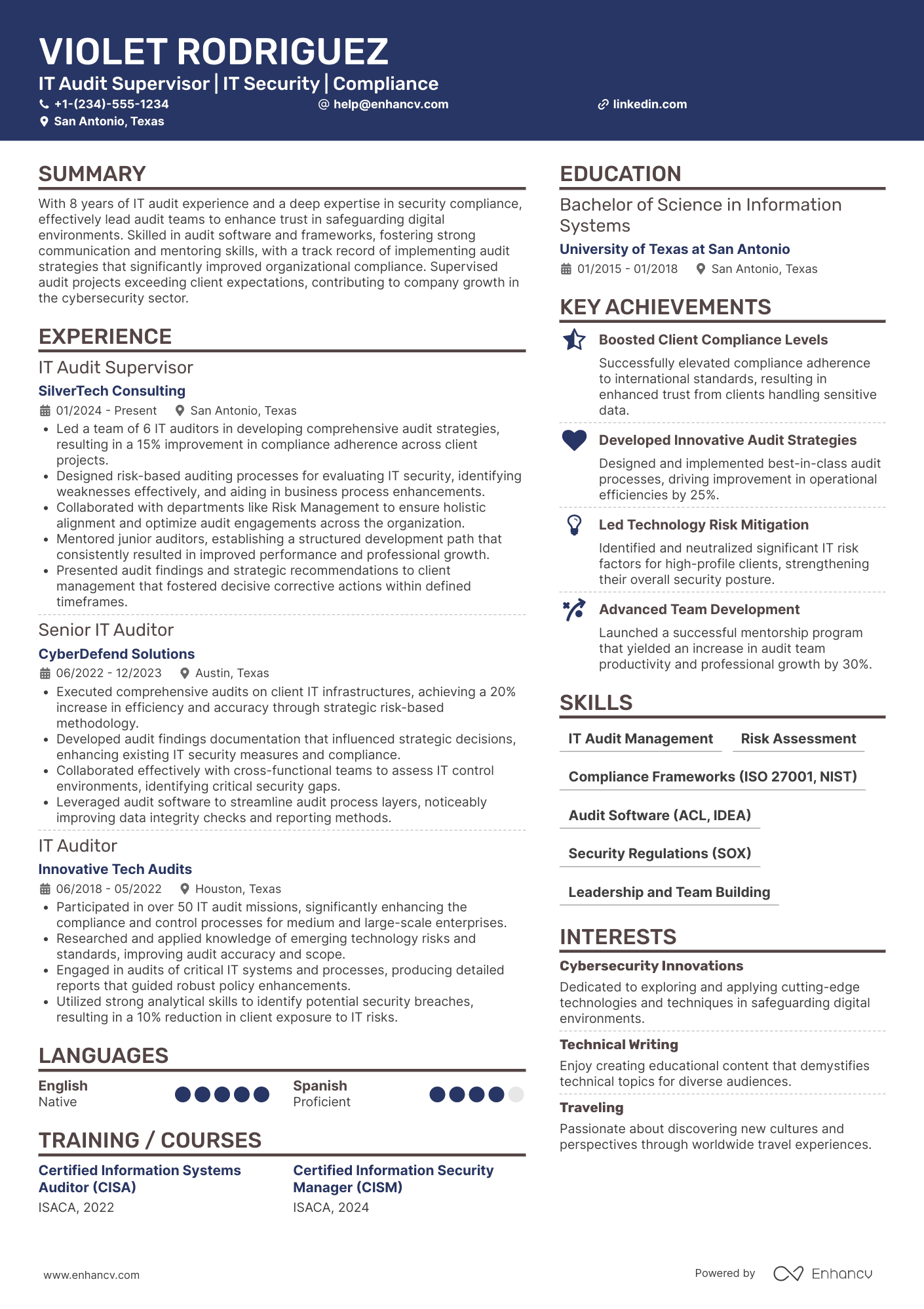 IT Audit Supervisor Resume Example