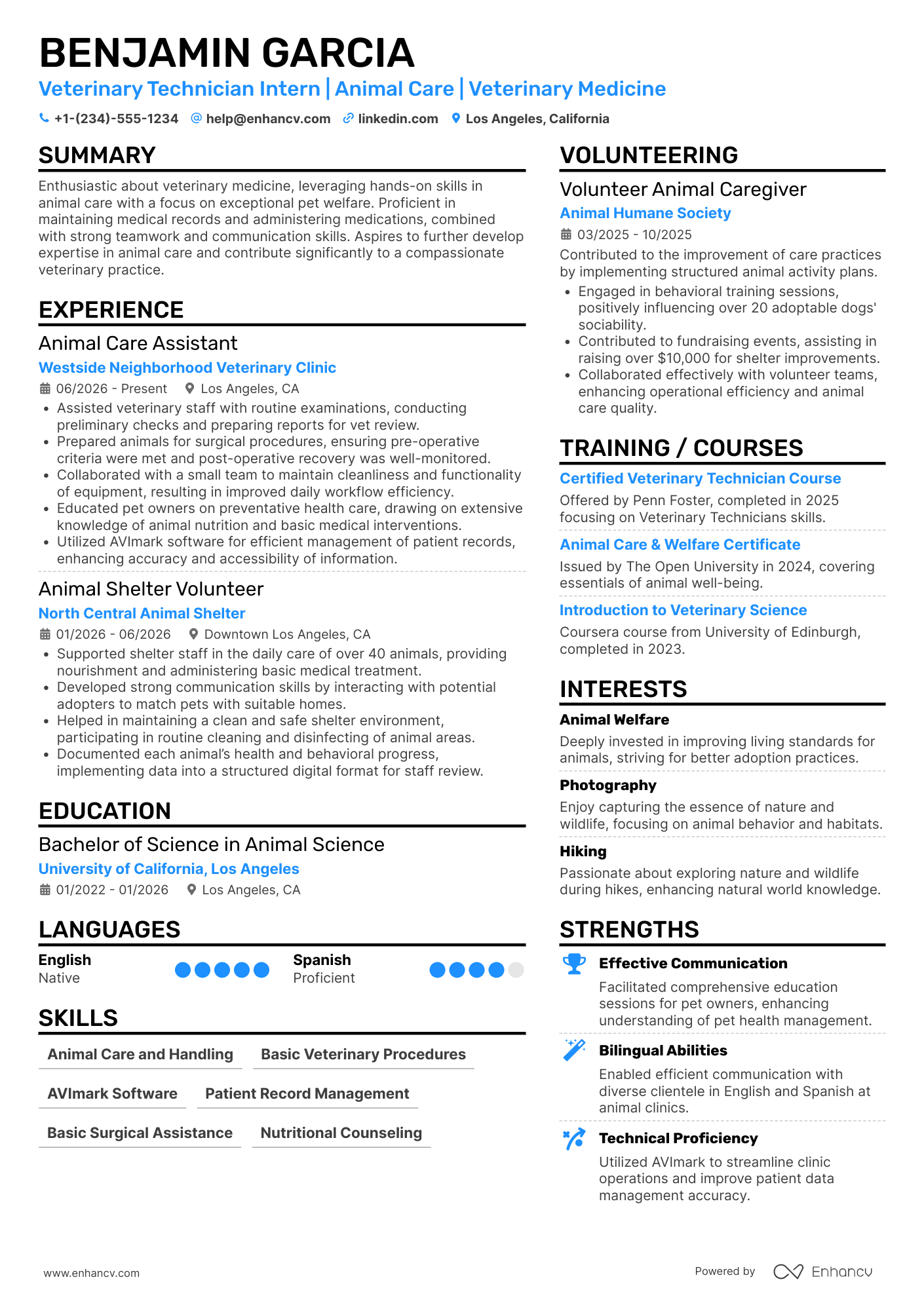 Veterinary Technician Intern Resume Example