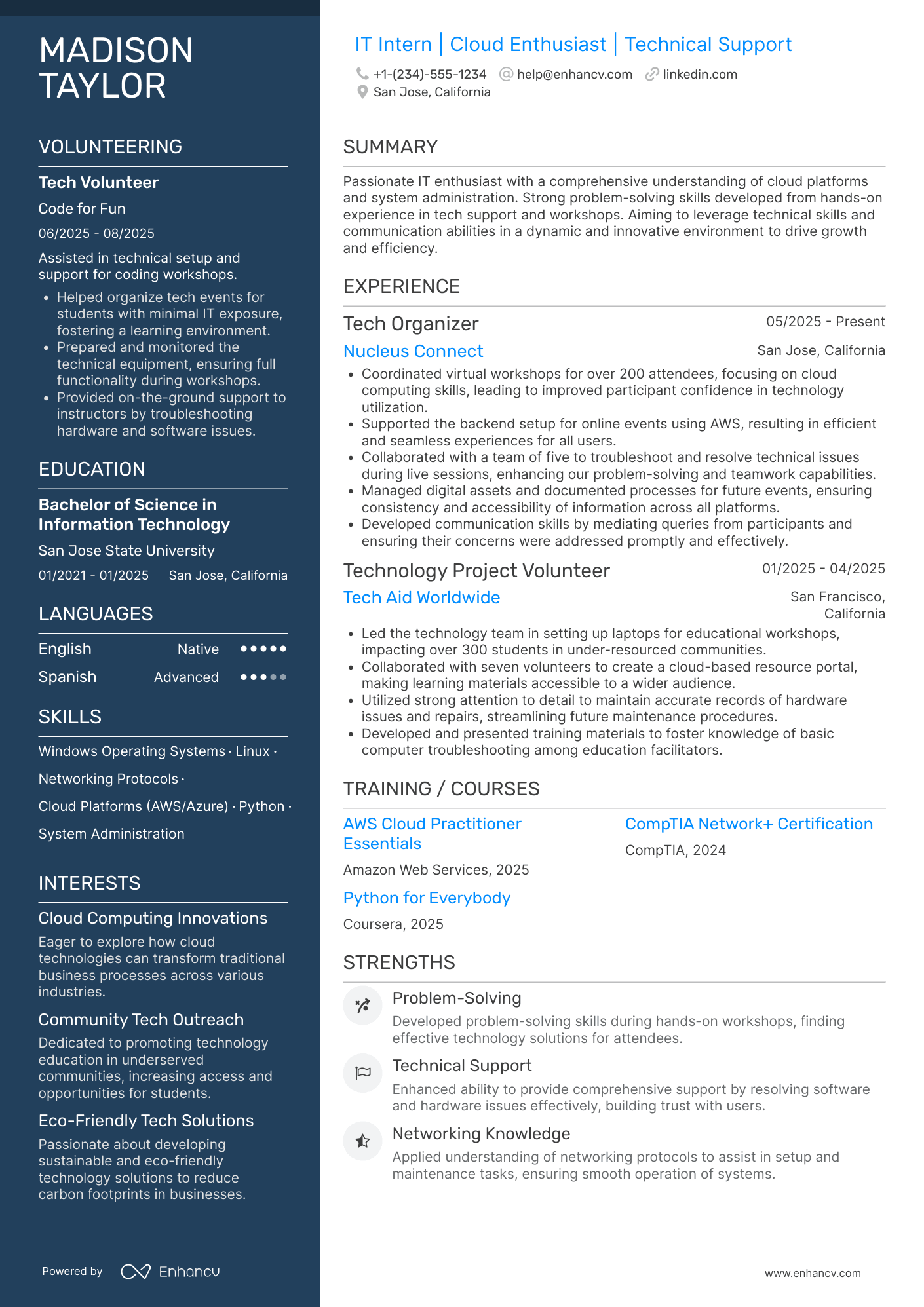IT Intern Resume Example