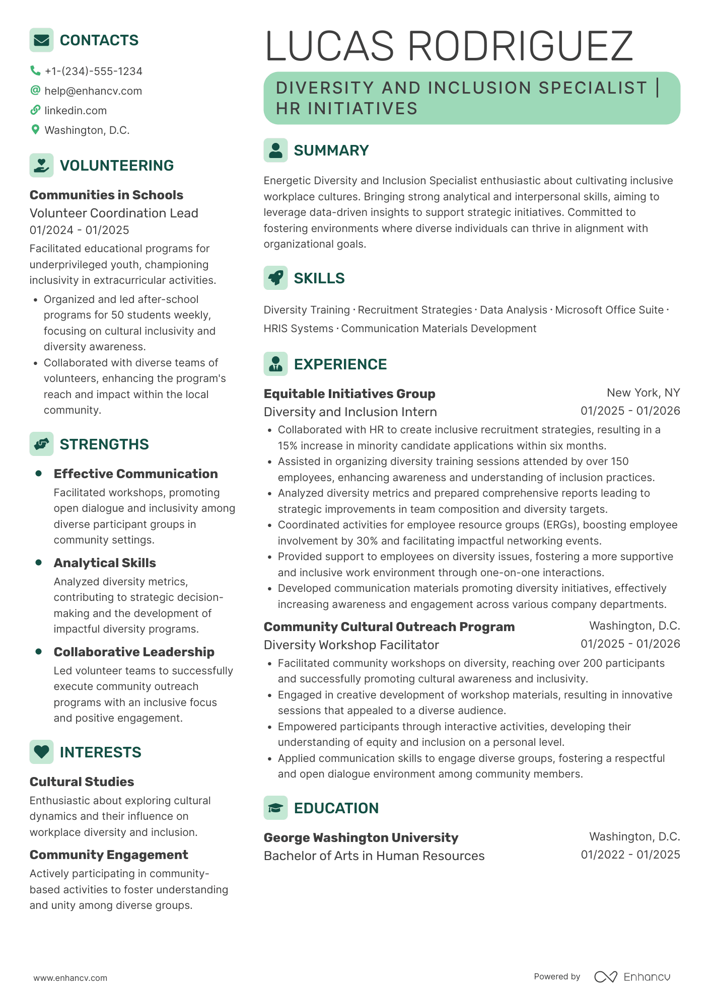 Entry Level Diversity and Inclusion Manager Resume Example