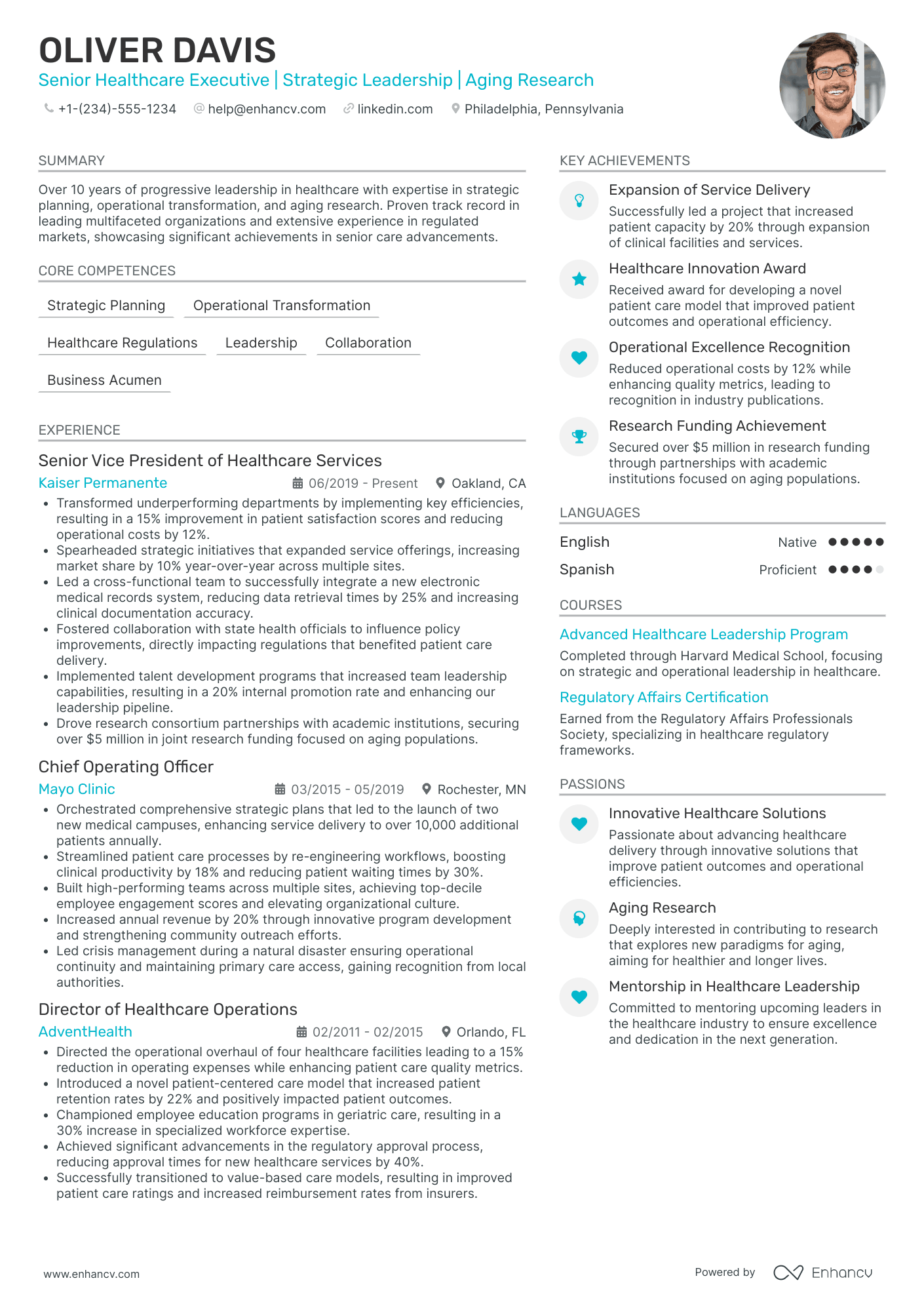 Chief Executive Officer in Consulting Resume Example