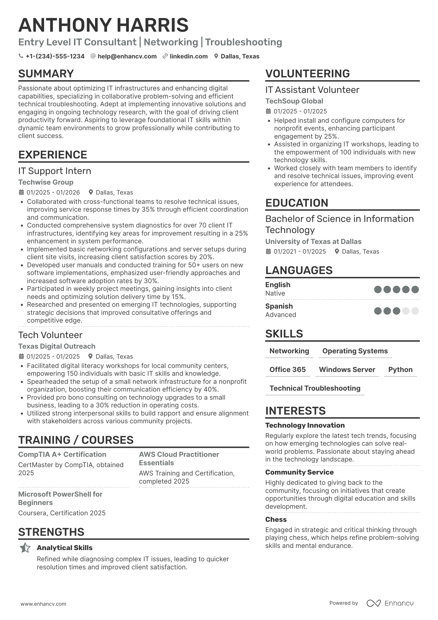 Entry Level IT Consultant Resume Example