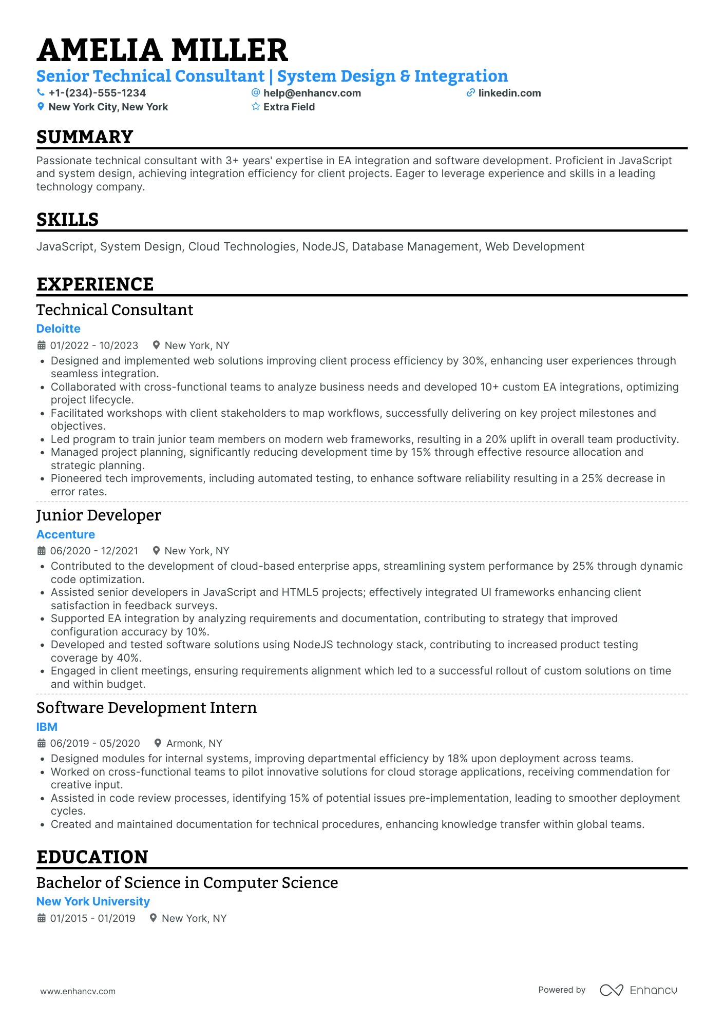 Junior Technology Consultant Resume Example
