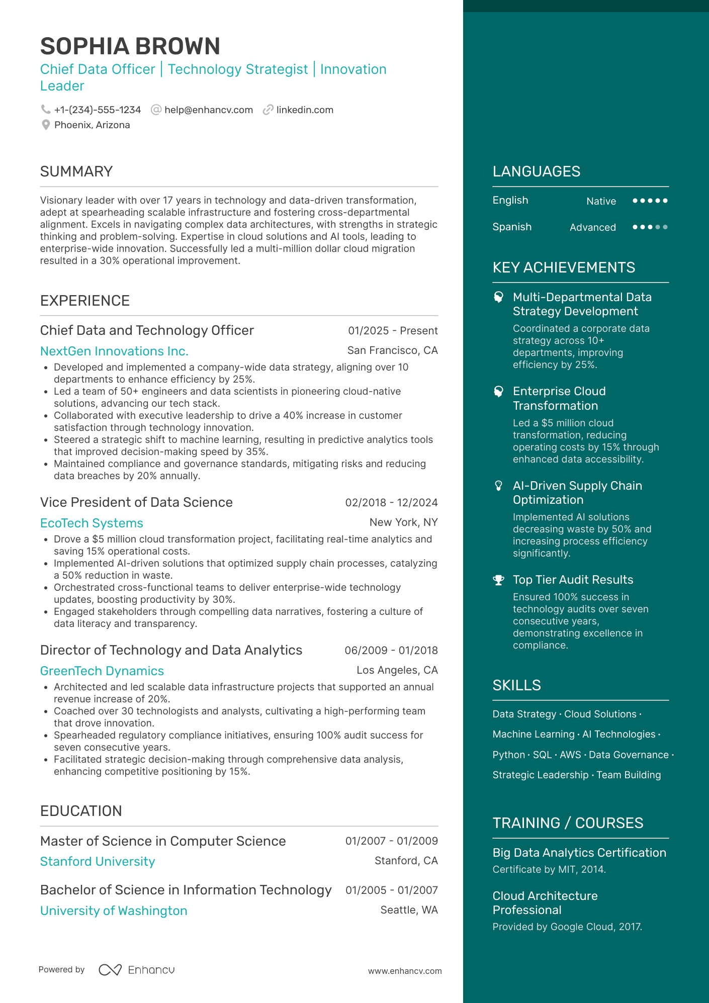 Chief Data and Technology Officer Resume Example